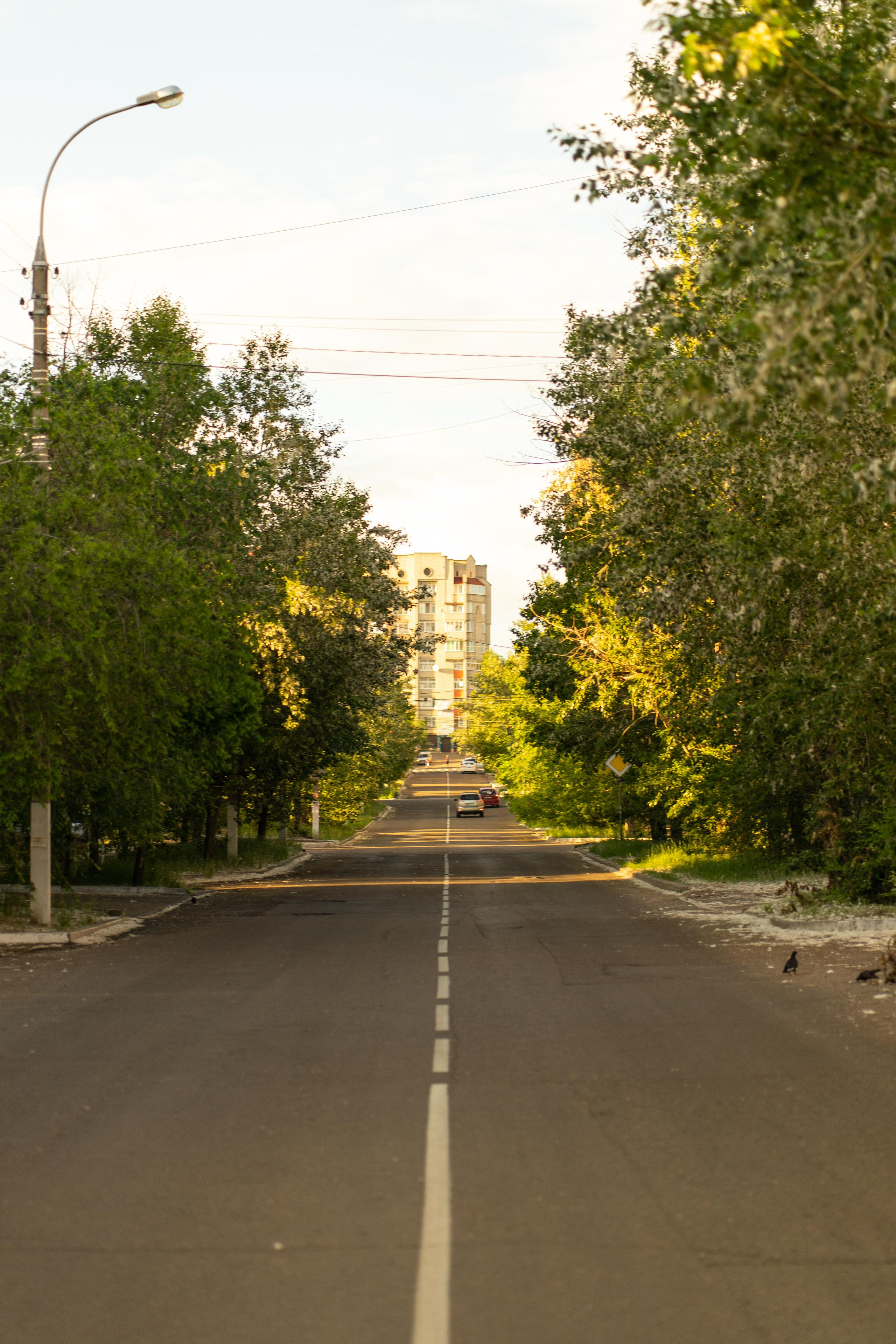 Красивые кадры и макро. Фотограф Ахмедов Эльдар Чита
