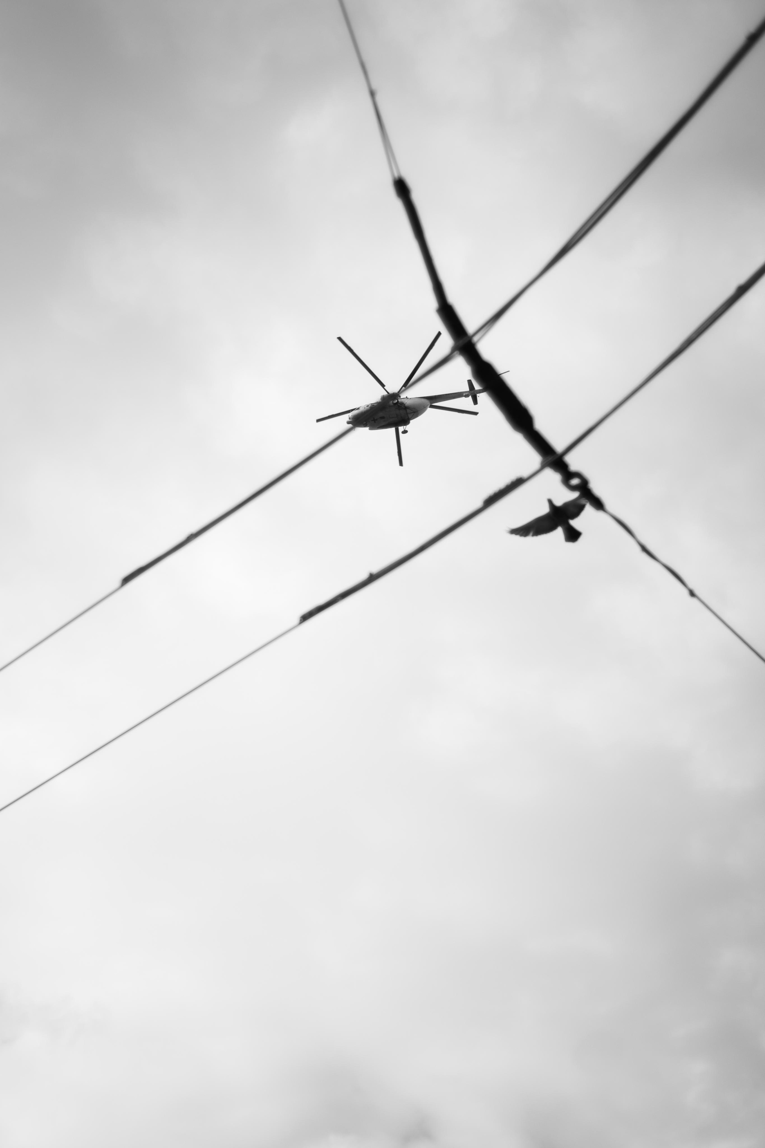 Красивые кадры и макро. Фотограф Ахмедов Эльдар Чита