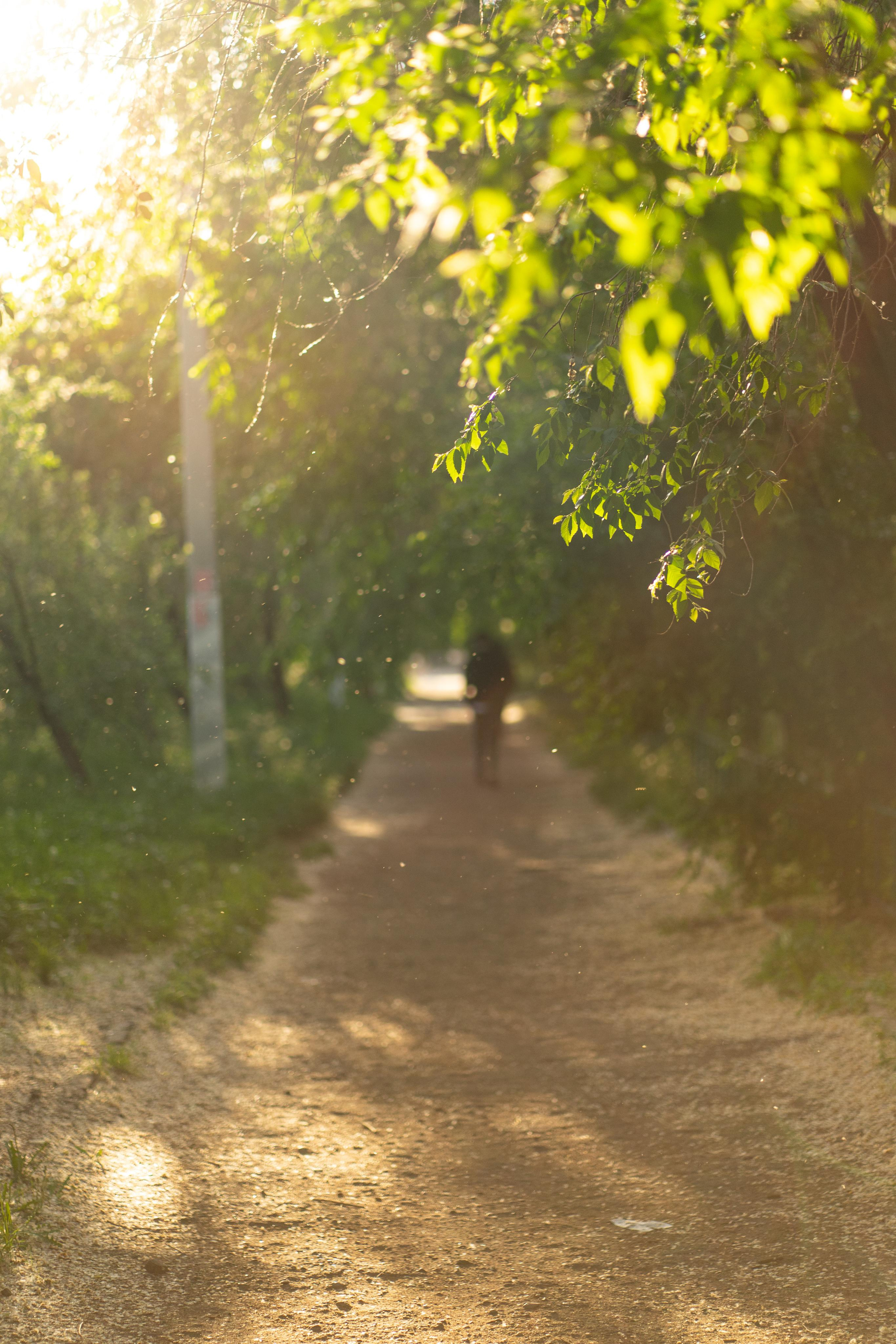 Красивые кадры и макро. Фотограф Ахмедов Эльдар Чита
