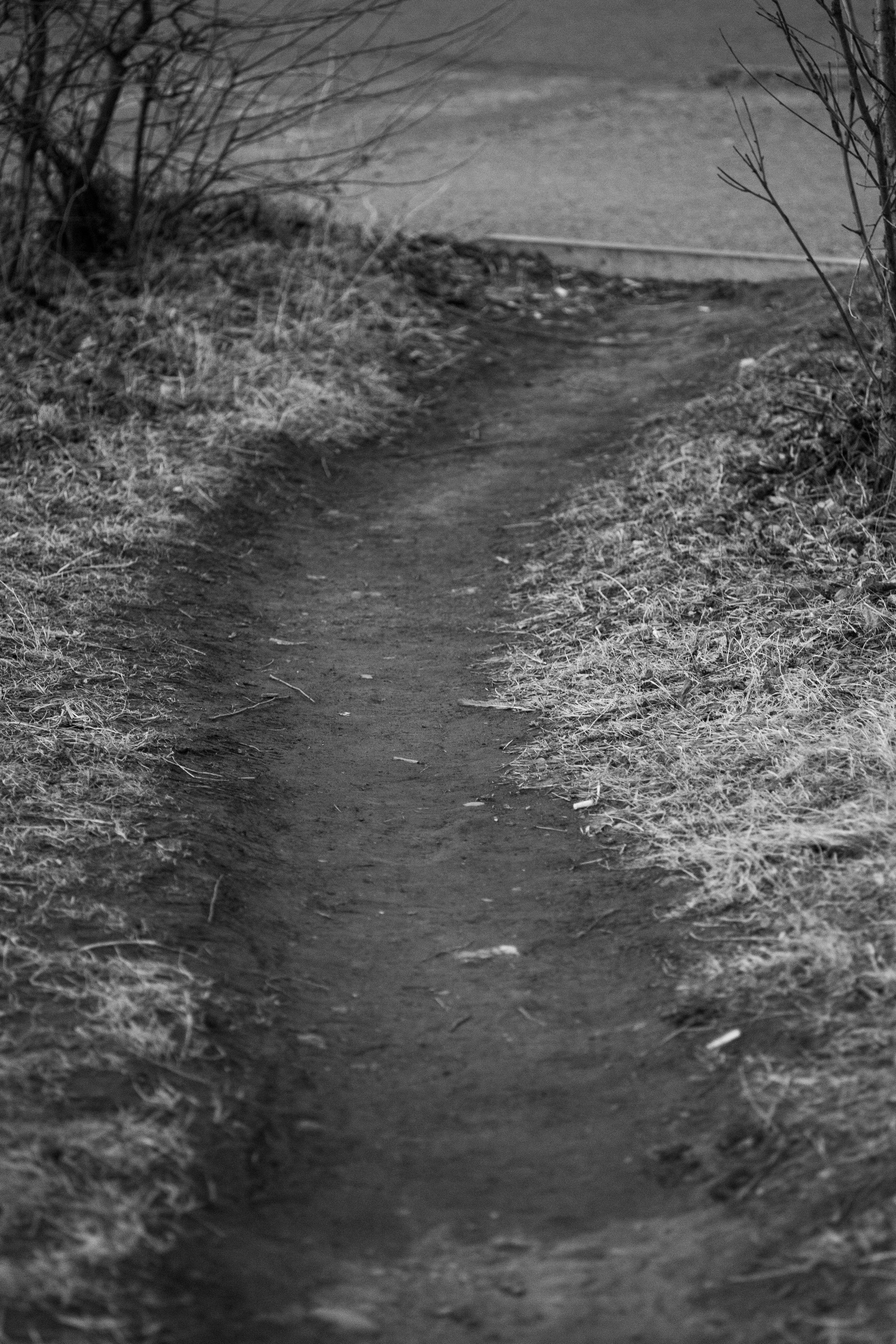 Красивые кадры и макро. Фотограф Ахмедов Эльдар Чита