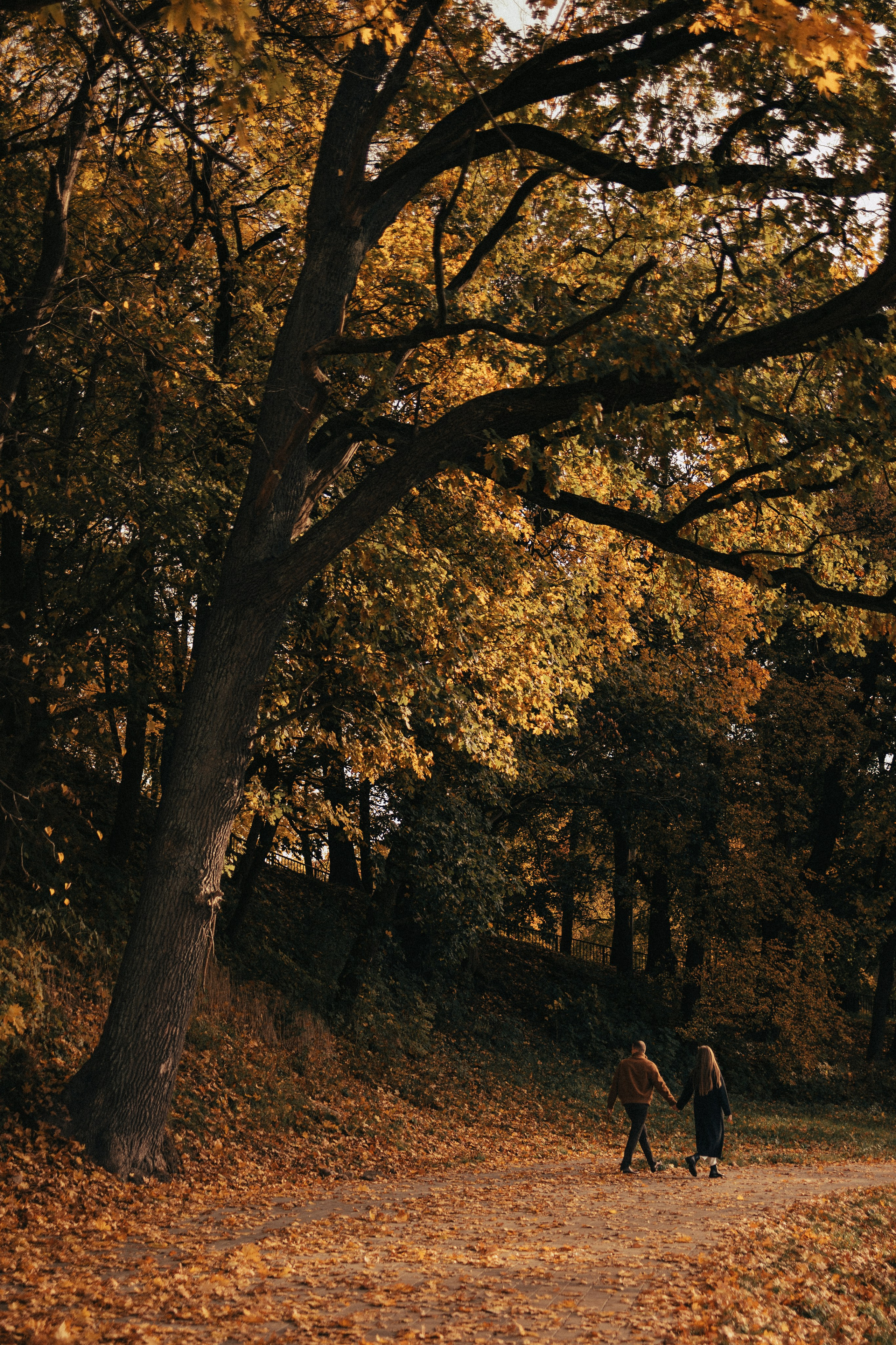 Портфолио. Фотограф Калининград