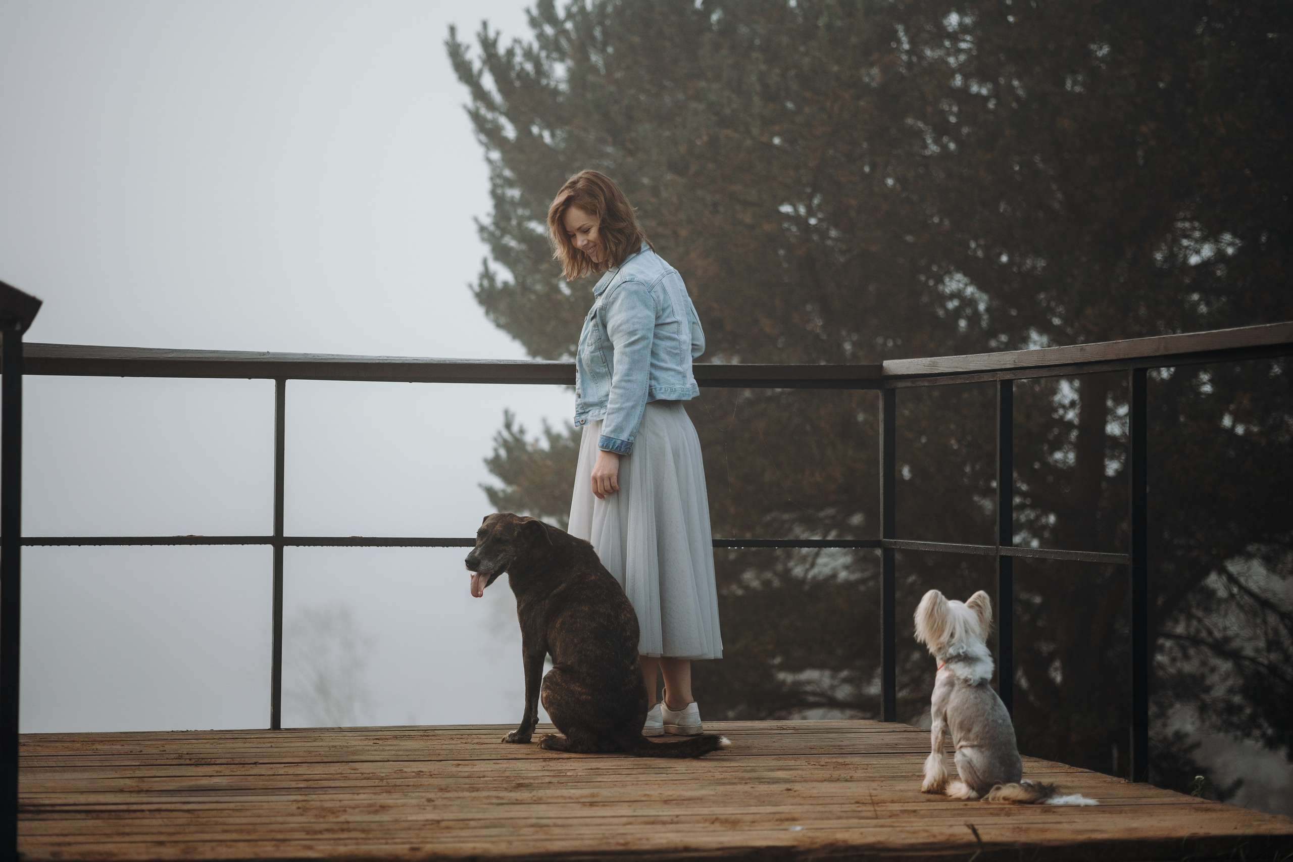 Любовь и ее хвостики. Фотограф — Анималист | Санкт-Петербург