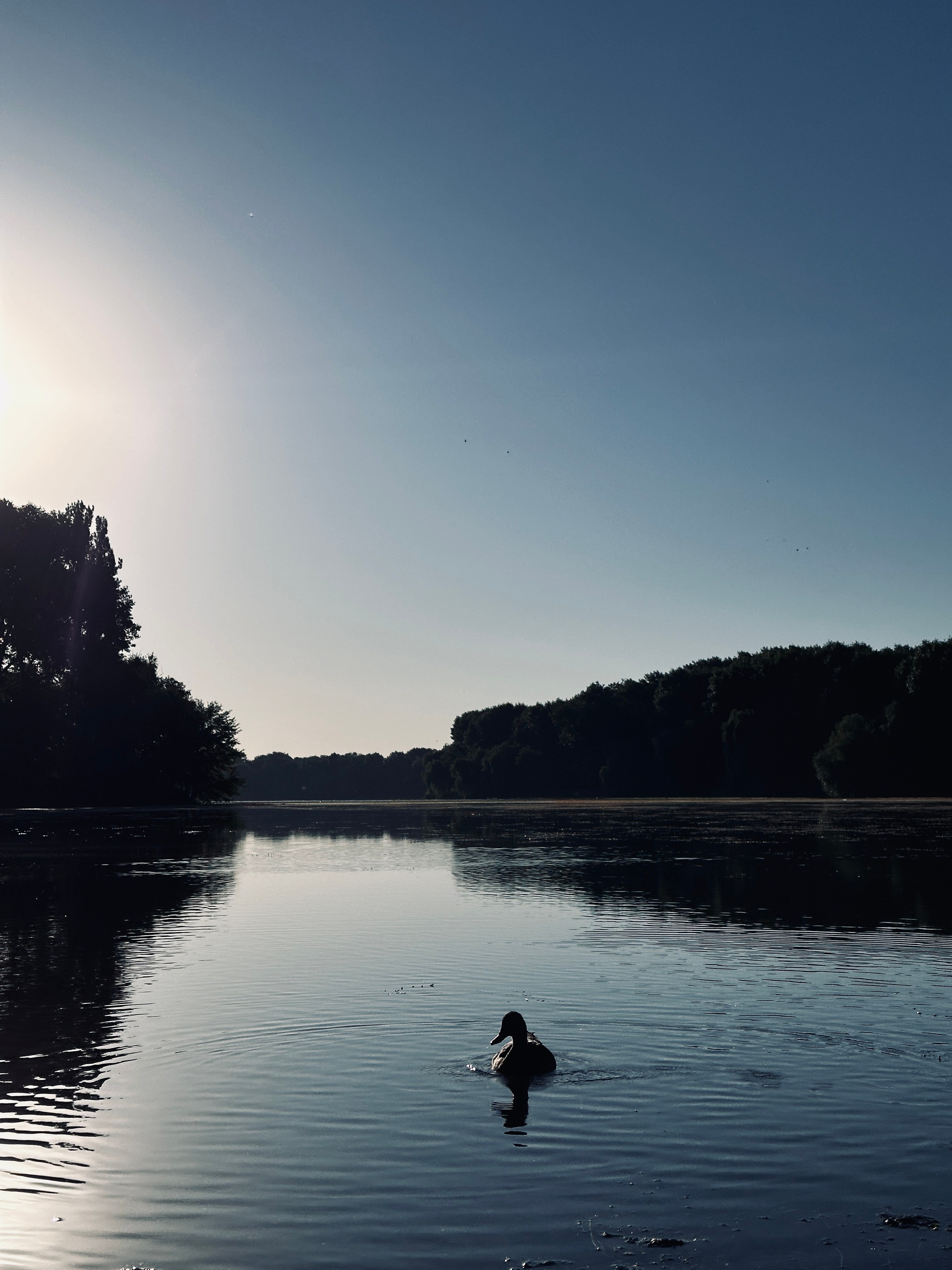 Флора и фауна. Смотри, красота!
