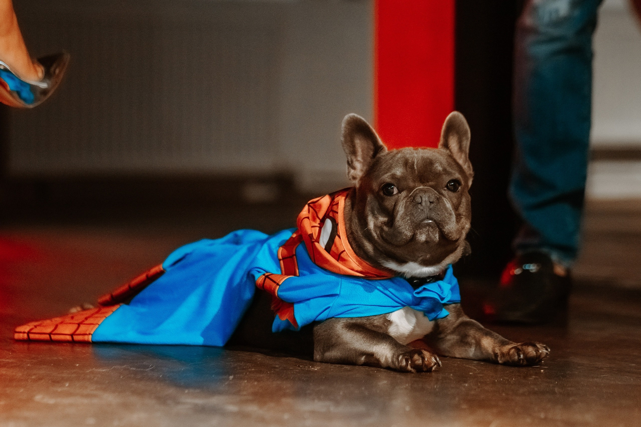 Репортаж. Фотограф, Видеограф и Ваш личный Эксперт по Маркетингу