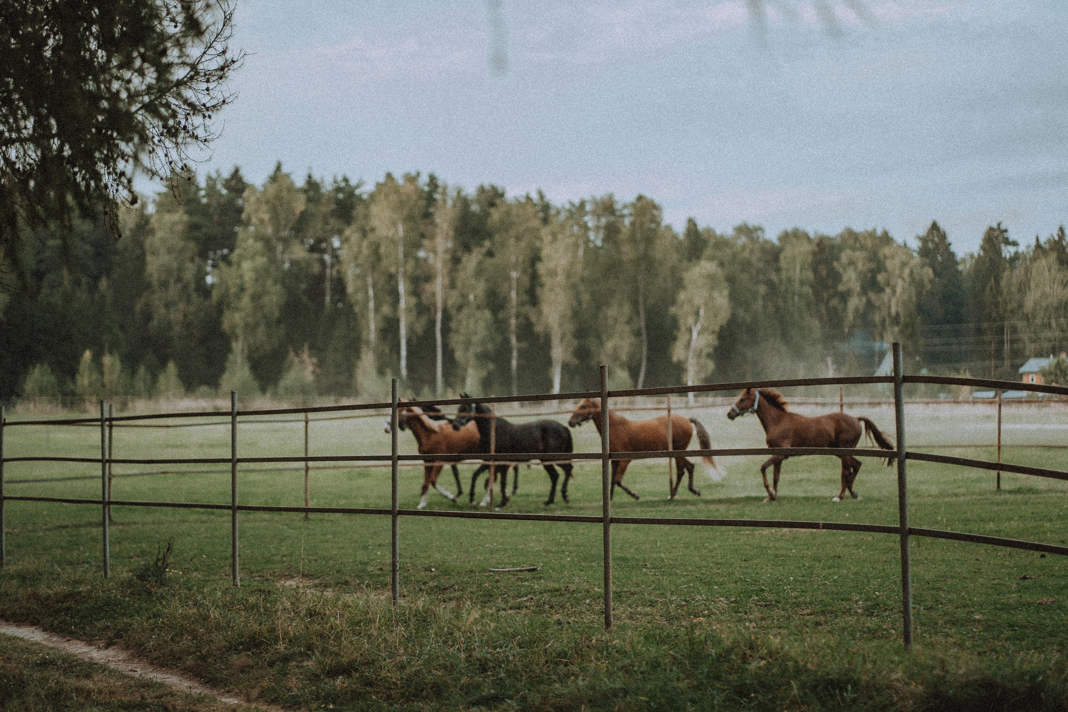Верный друг. Фотограф Наталья Колганова