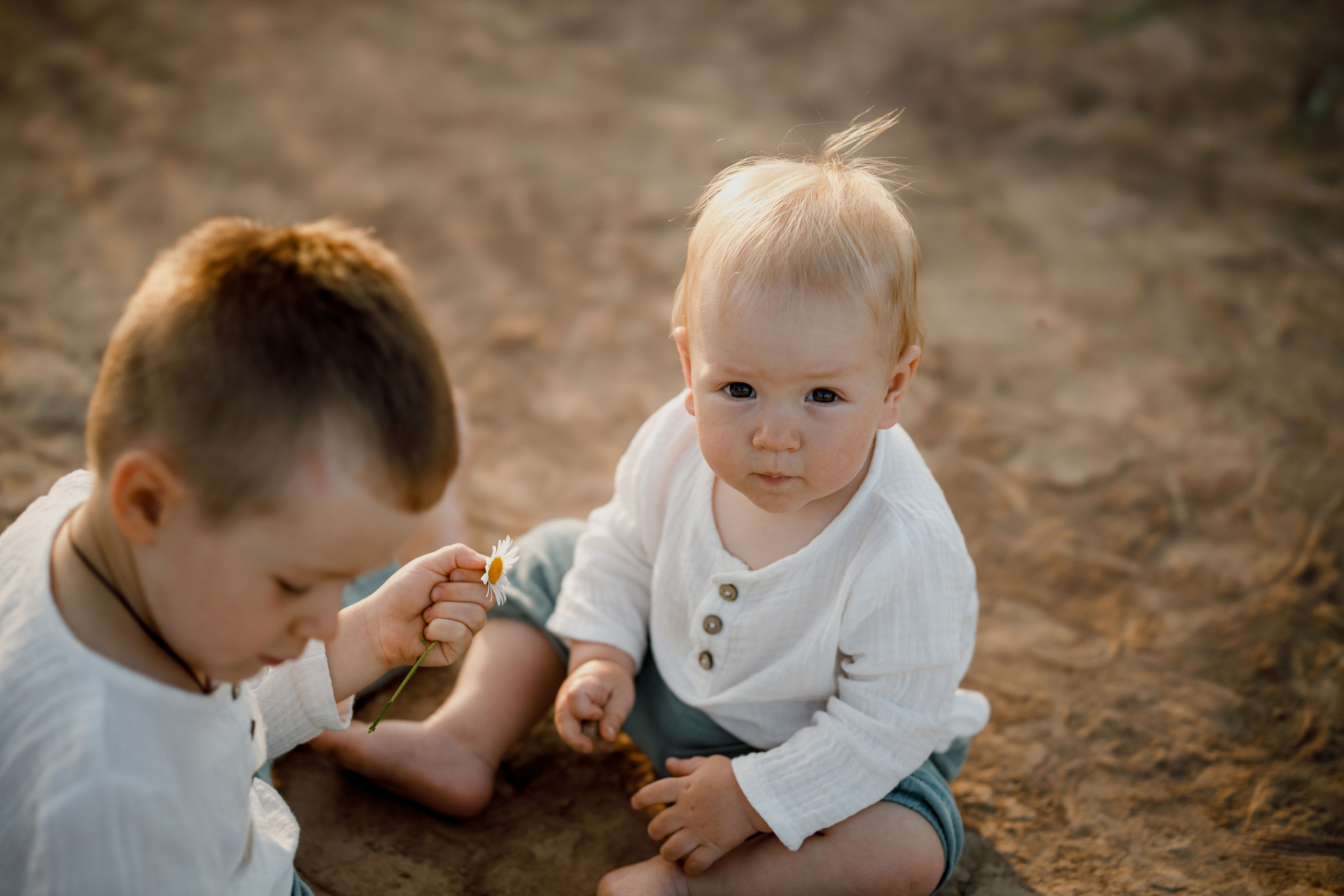 Глеб, Лена, Лев и Родя в полях. Пухова Татьяна фотограф в Перми