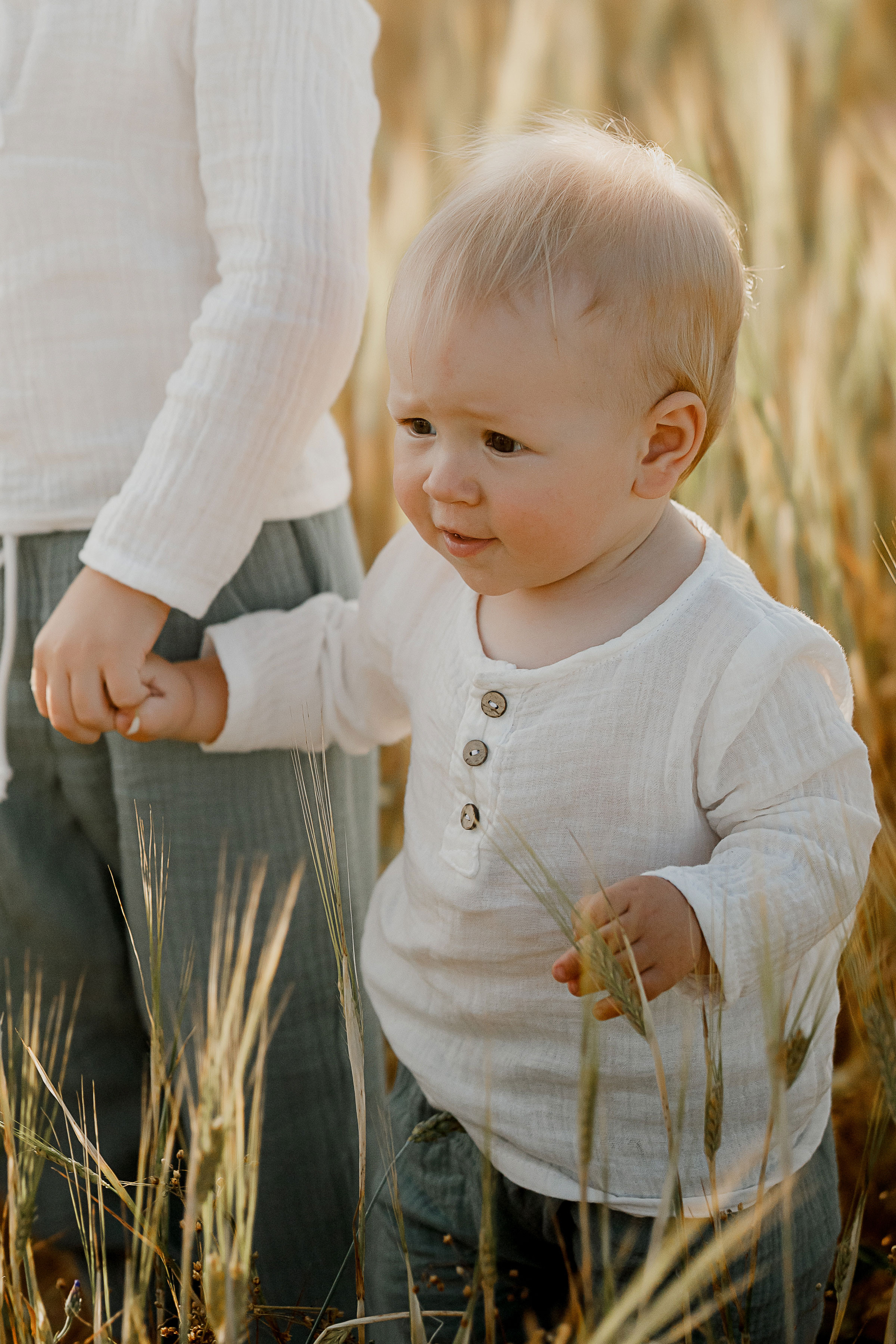 Глеб, Лена, Лев и Родя в полях. Пухова Татьяна фотограф в Перми