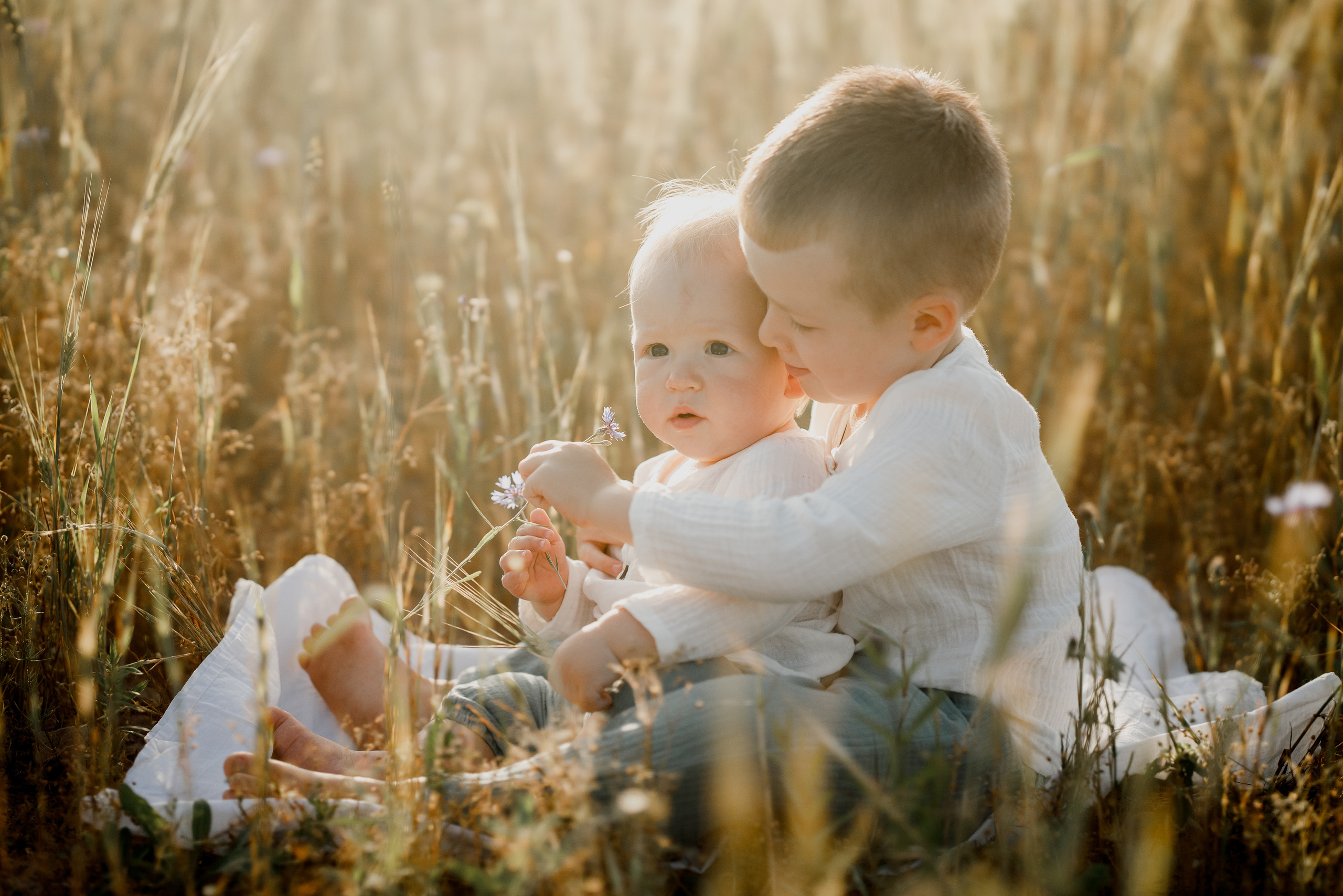 Глеб, Лена, Лев и Родя в полях. Пухова Татьяна фотограф в Перми