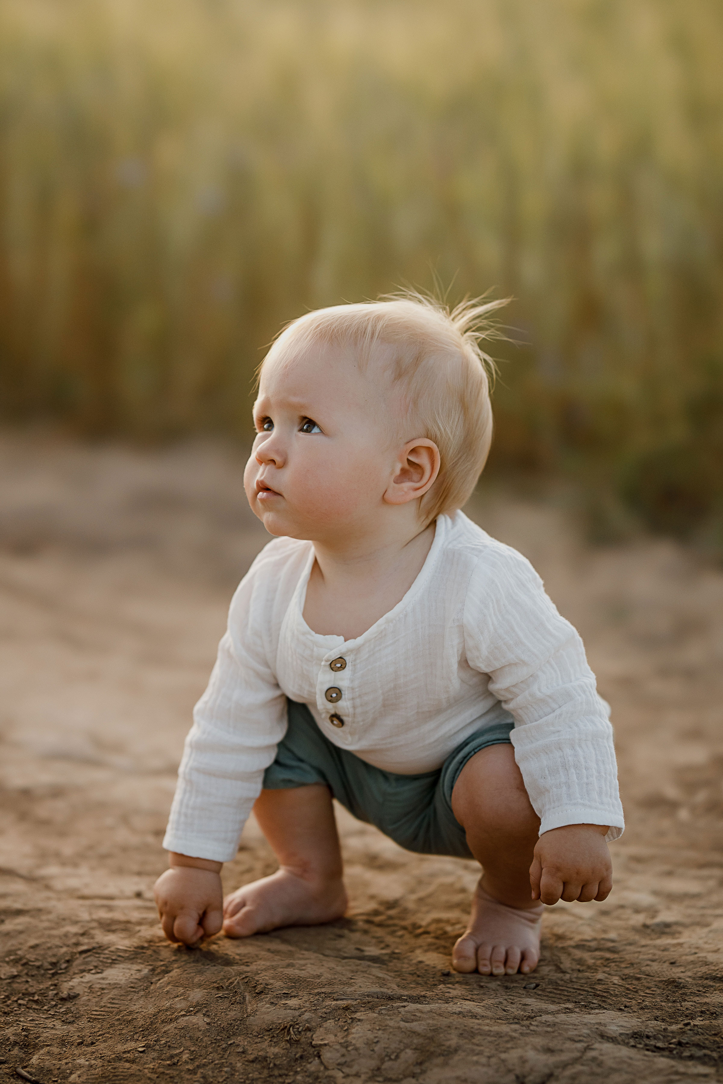 Глеб, Лена, Лев и Родя в полях. Пухова Татьяна фотограф в Перми