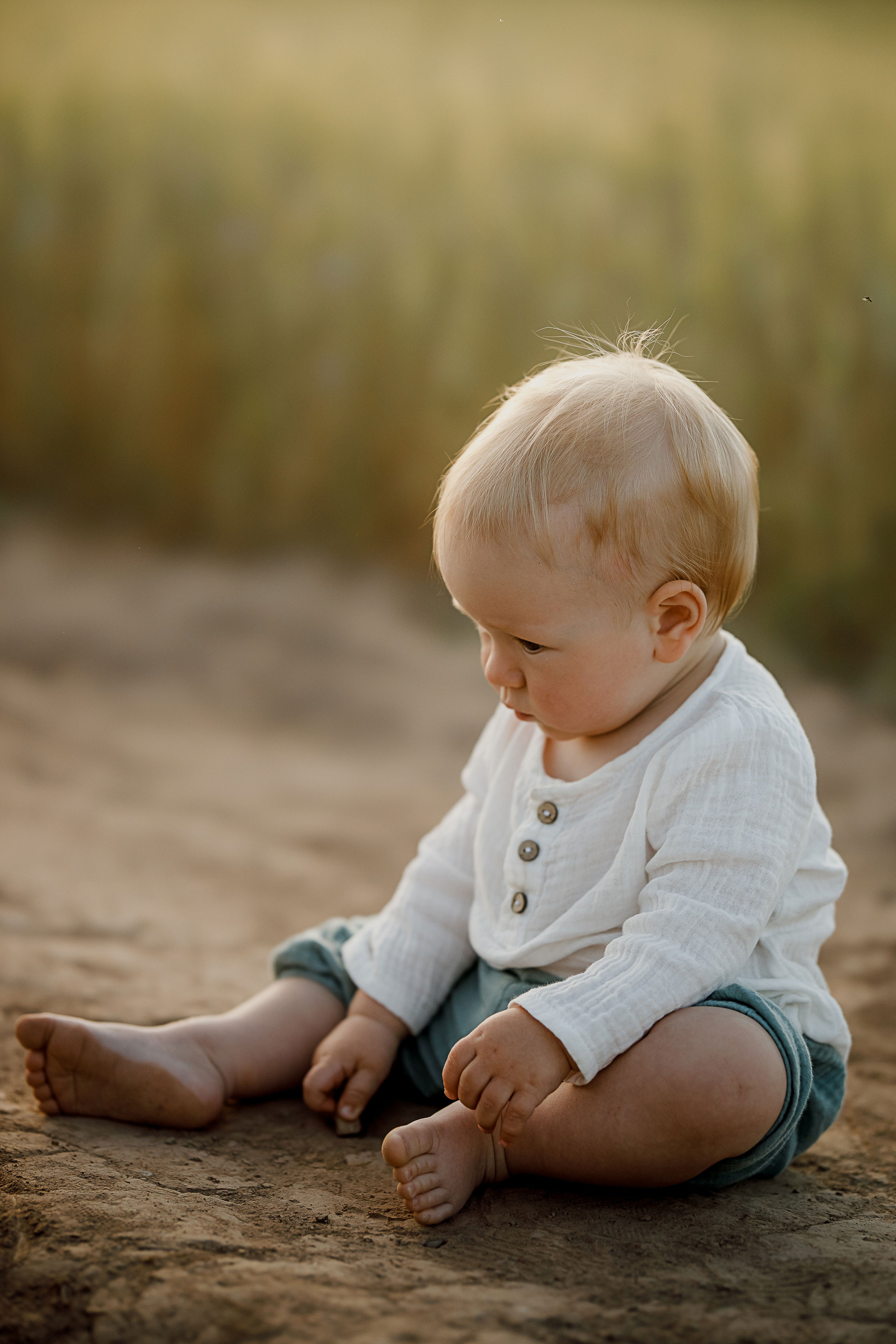 Глеб, Лена, Лев и Родя в полях. Пухова Татьяна фотограф в Перми