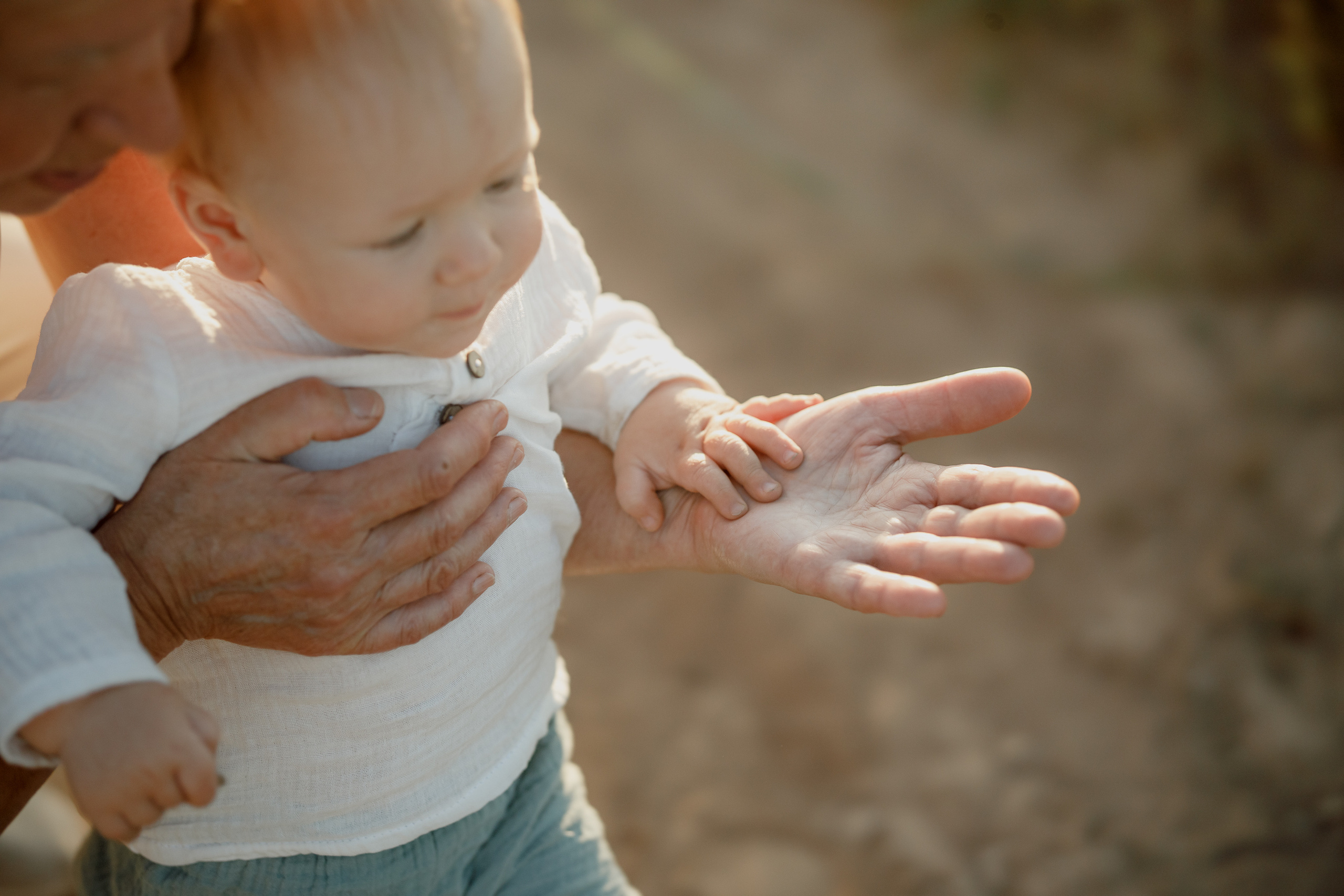 Глеб, Лена, Лев и Родя в полях. Пухова Татьяна фотограф в Перми