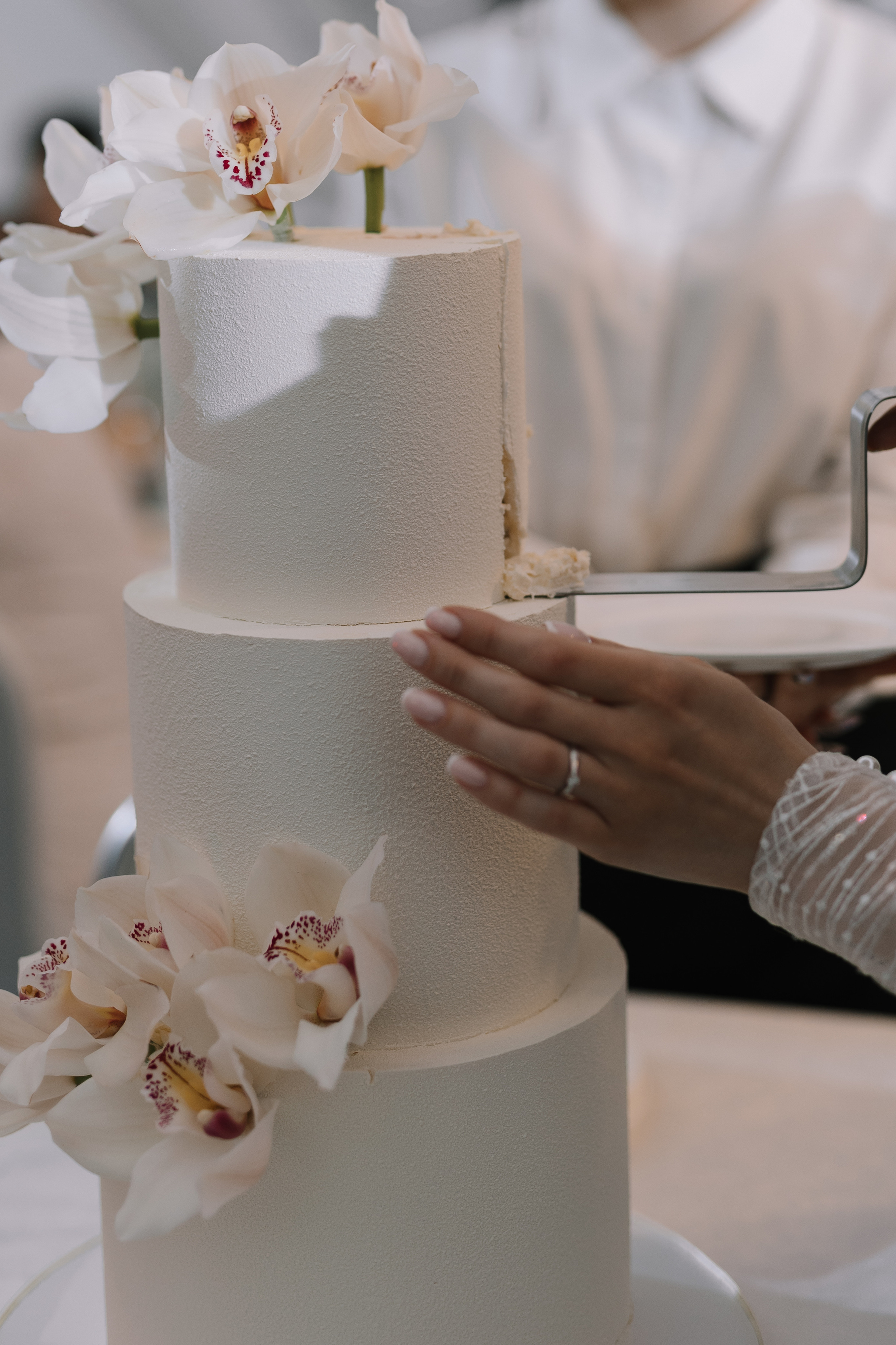 Павел & Алина. Свадебный фотограф Афонченко Татьяна