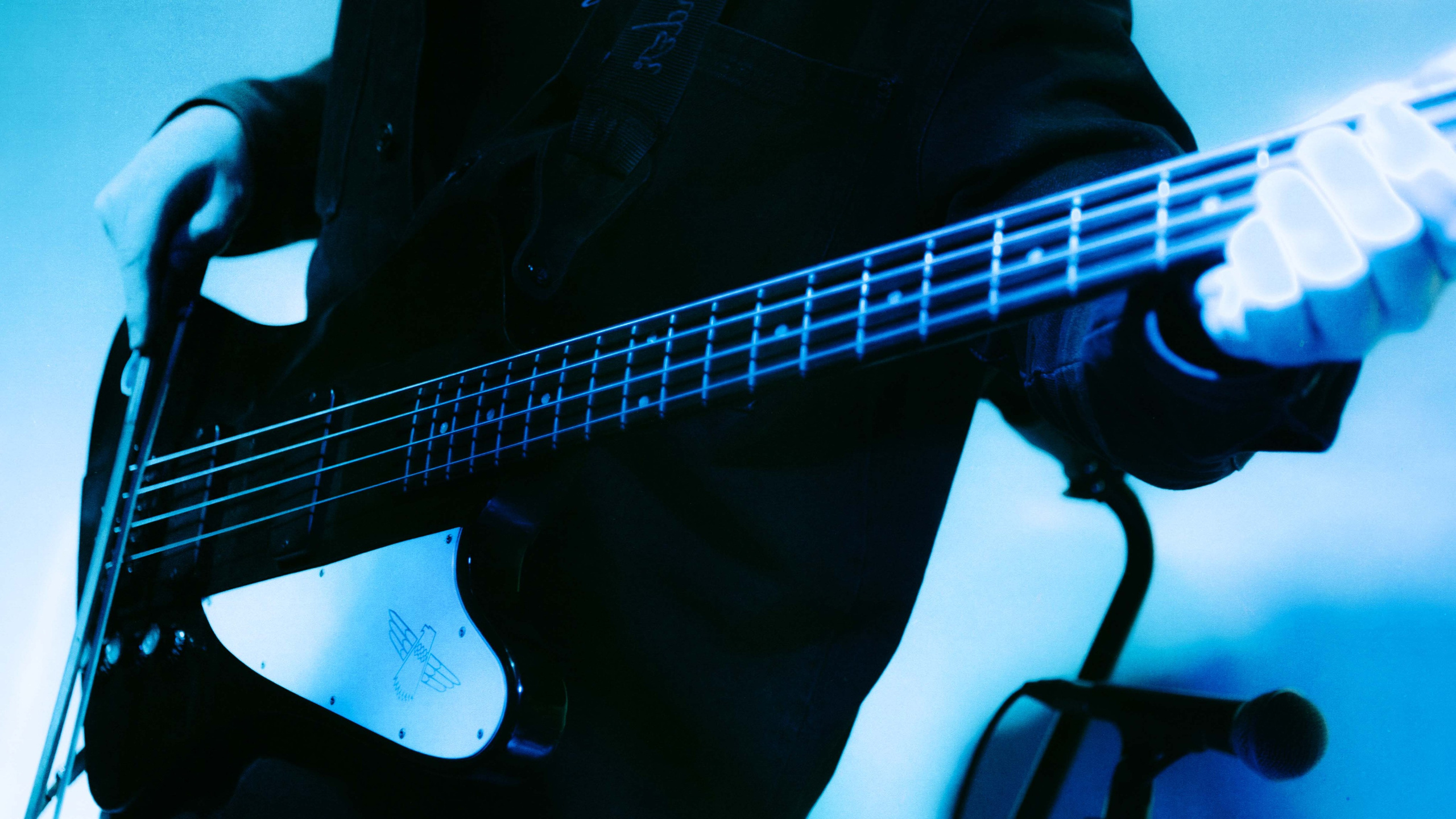 Dog Silent [pwrhs]. Фотограф Москва