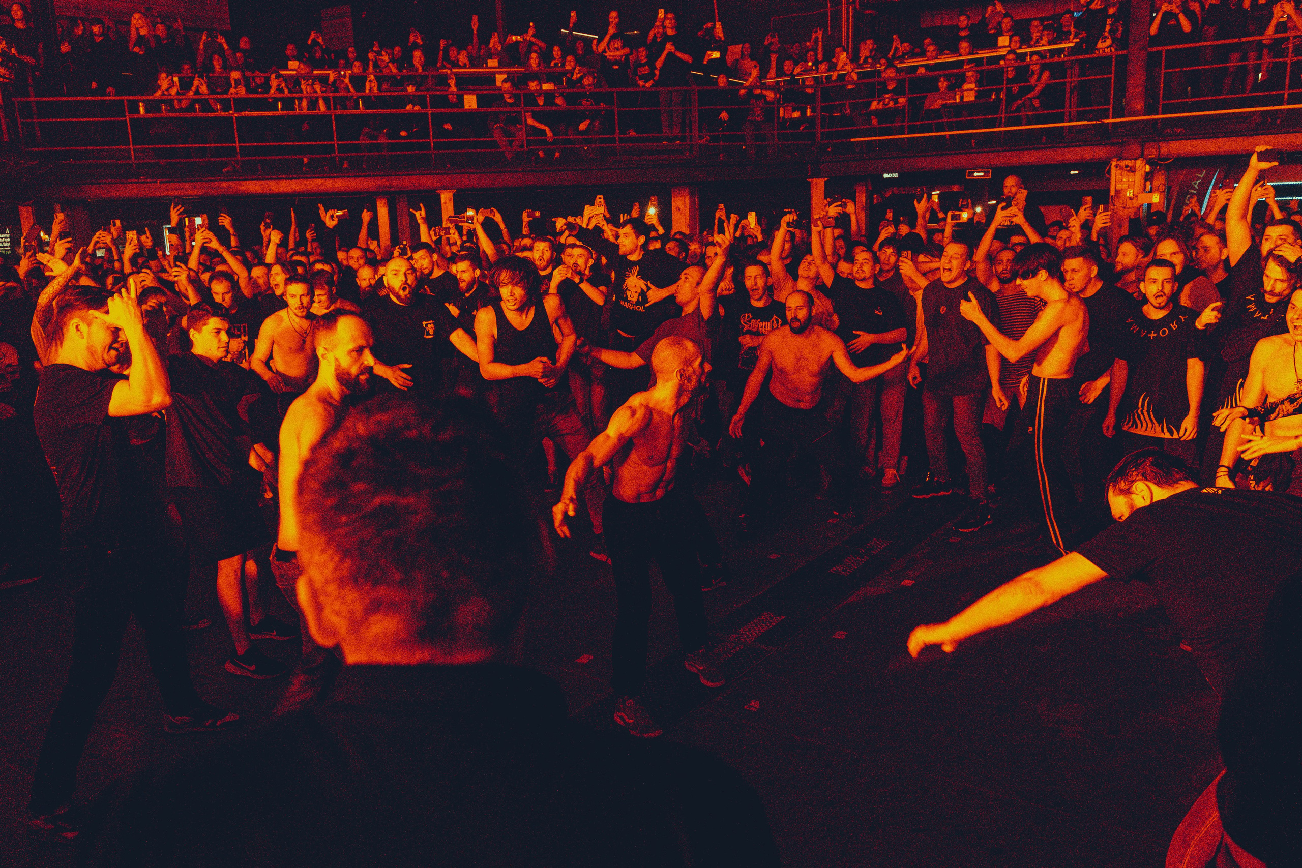 Amatory 22.11.2025. Фотограф Дядя Сник