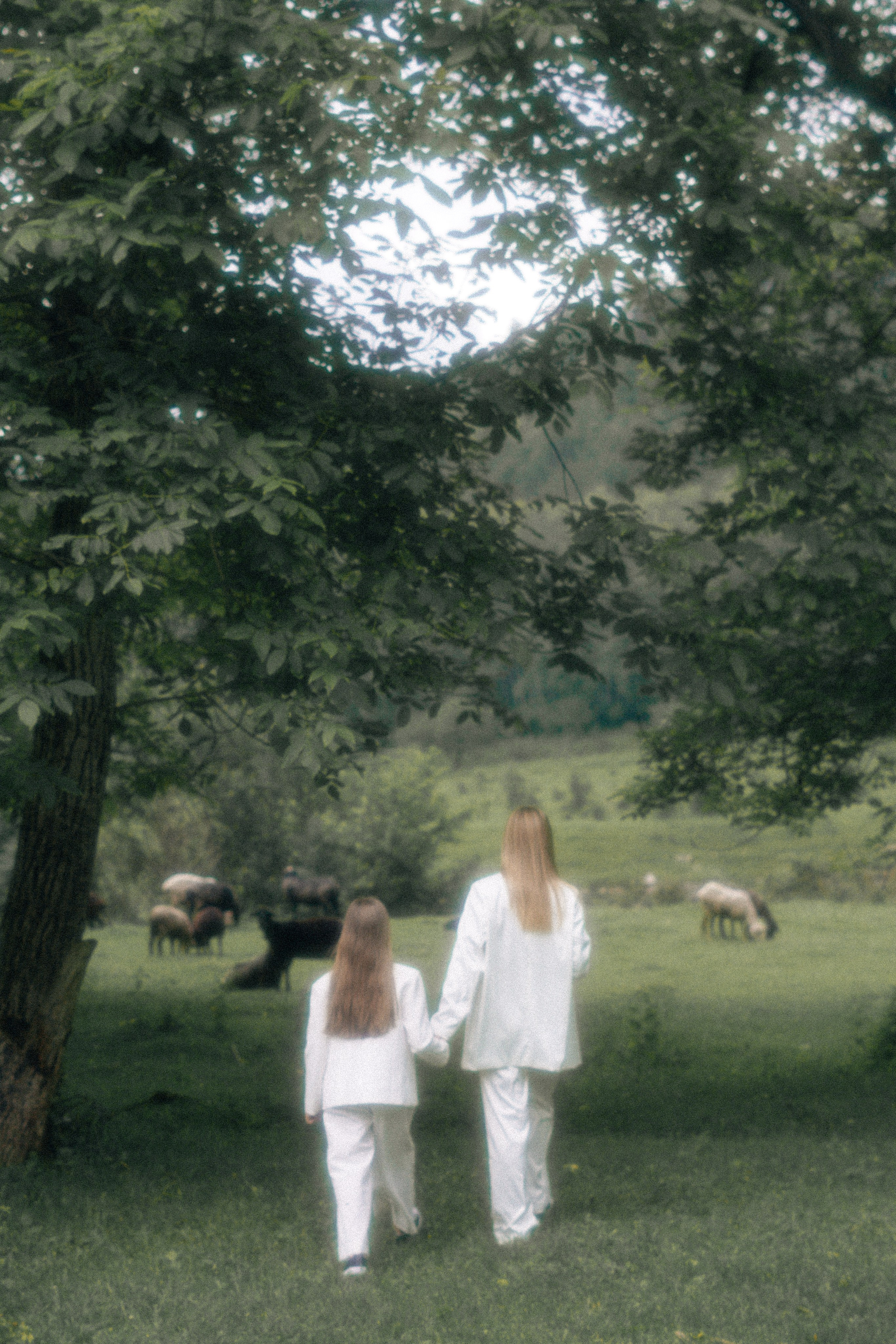 Лето и мама. Свадебный и семейный фотограф Афанасьева Анна в Кисловодске