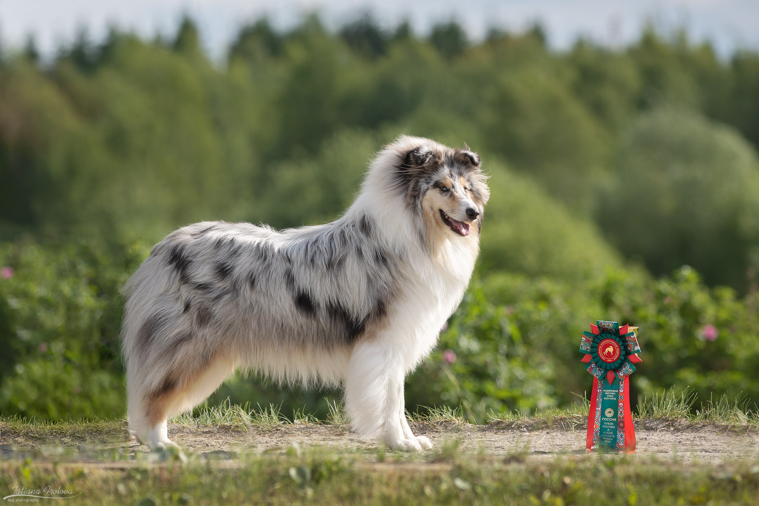Репортаж с выставки Россия. Фотограф-анималист в Москве и Московской области Татьяна Фролова