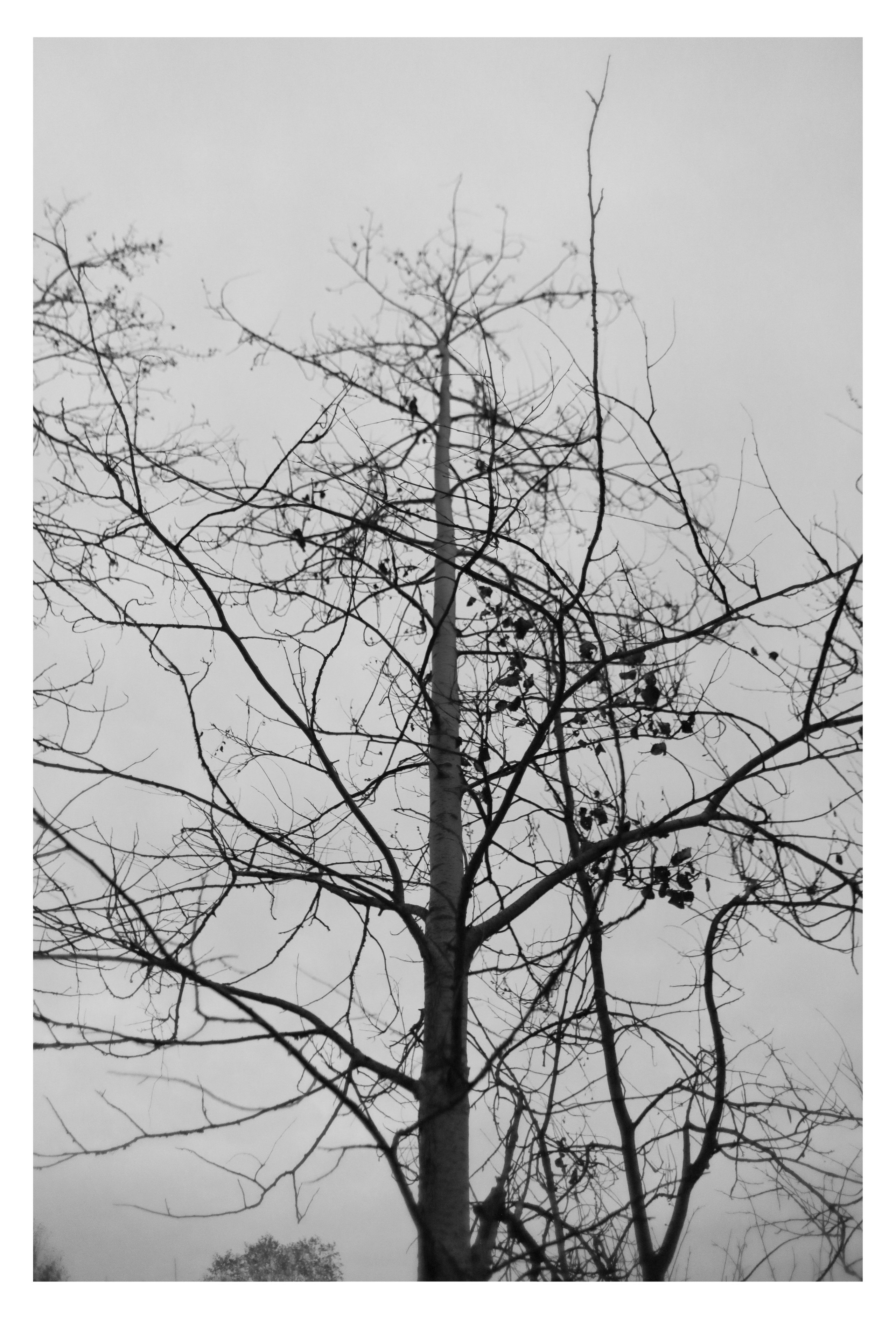 ДЕРЕВНЯ. Фотограф Манакова Ольга