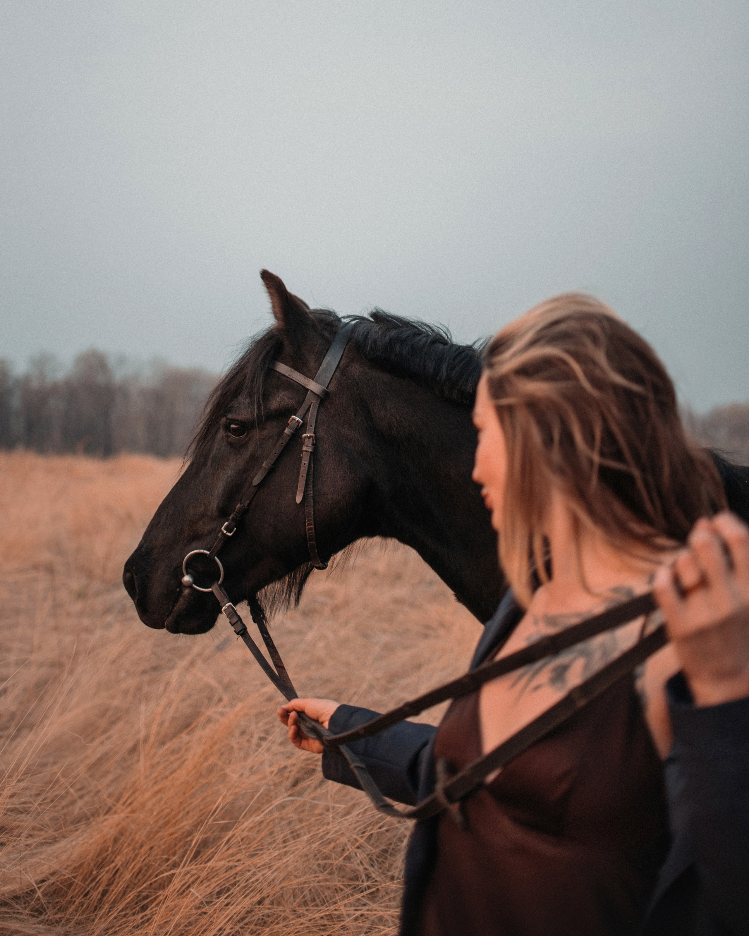 Конное: Ворон и Настя в поле. Портфолио