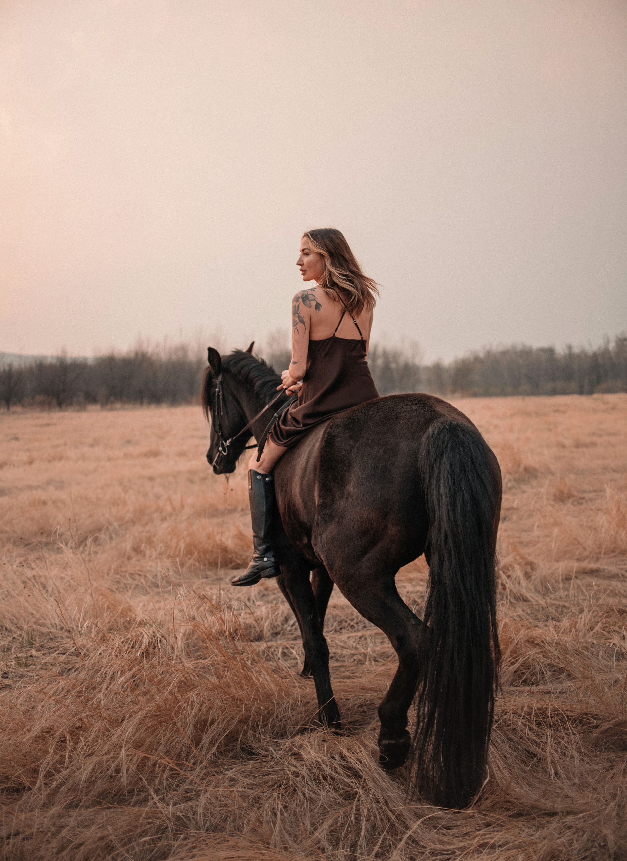 Конное: Ворон и Настя в поле. Портфолио