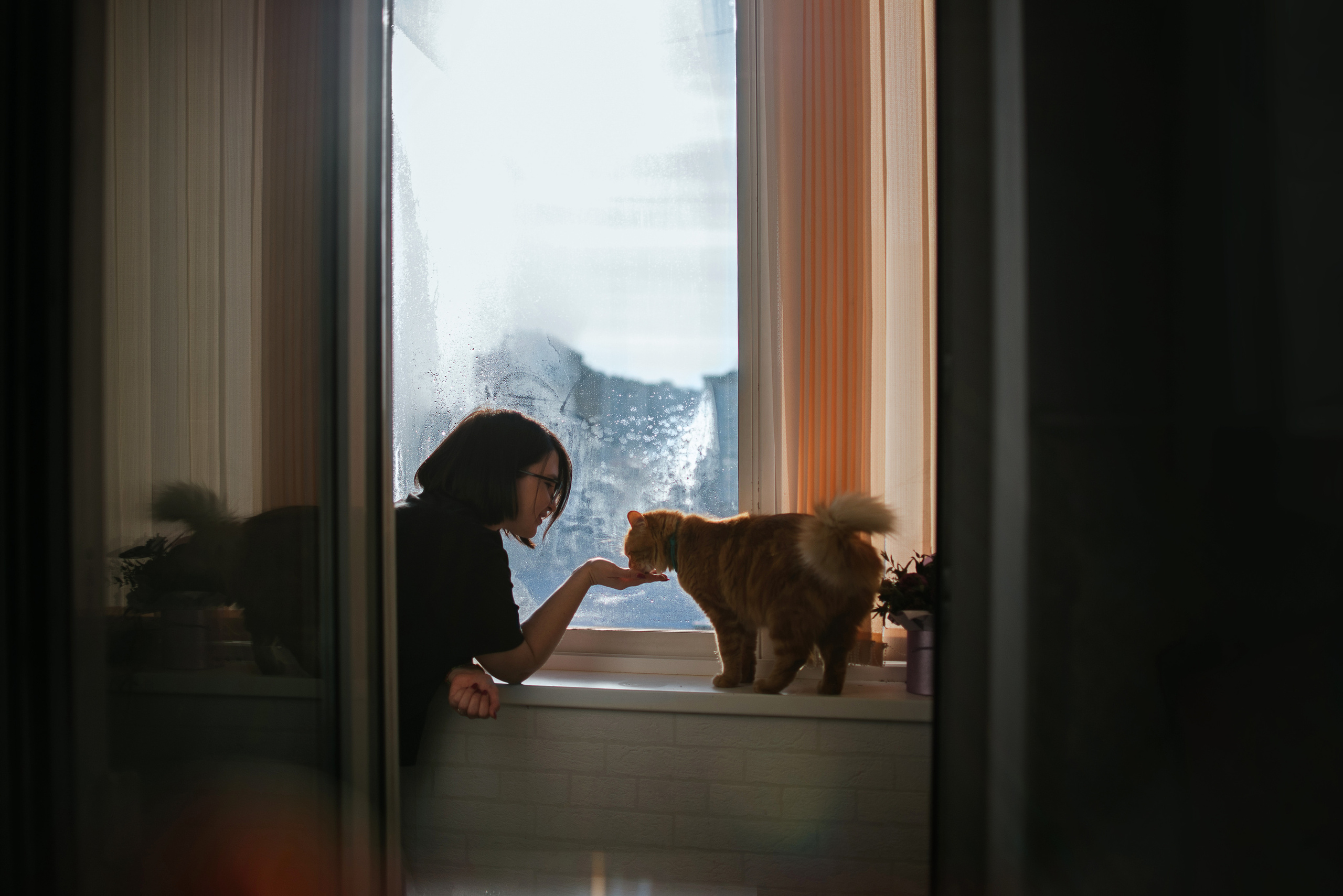 Домашнее: кот Баттерз и Юля. Портфолио