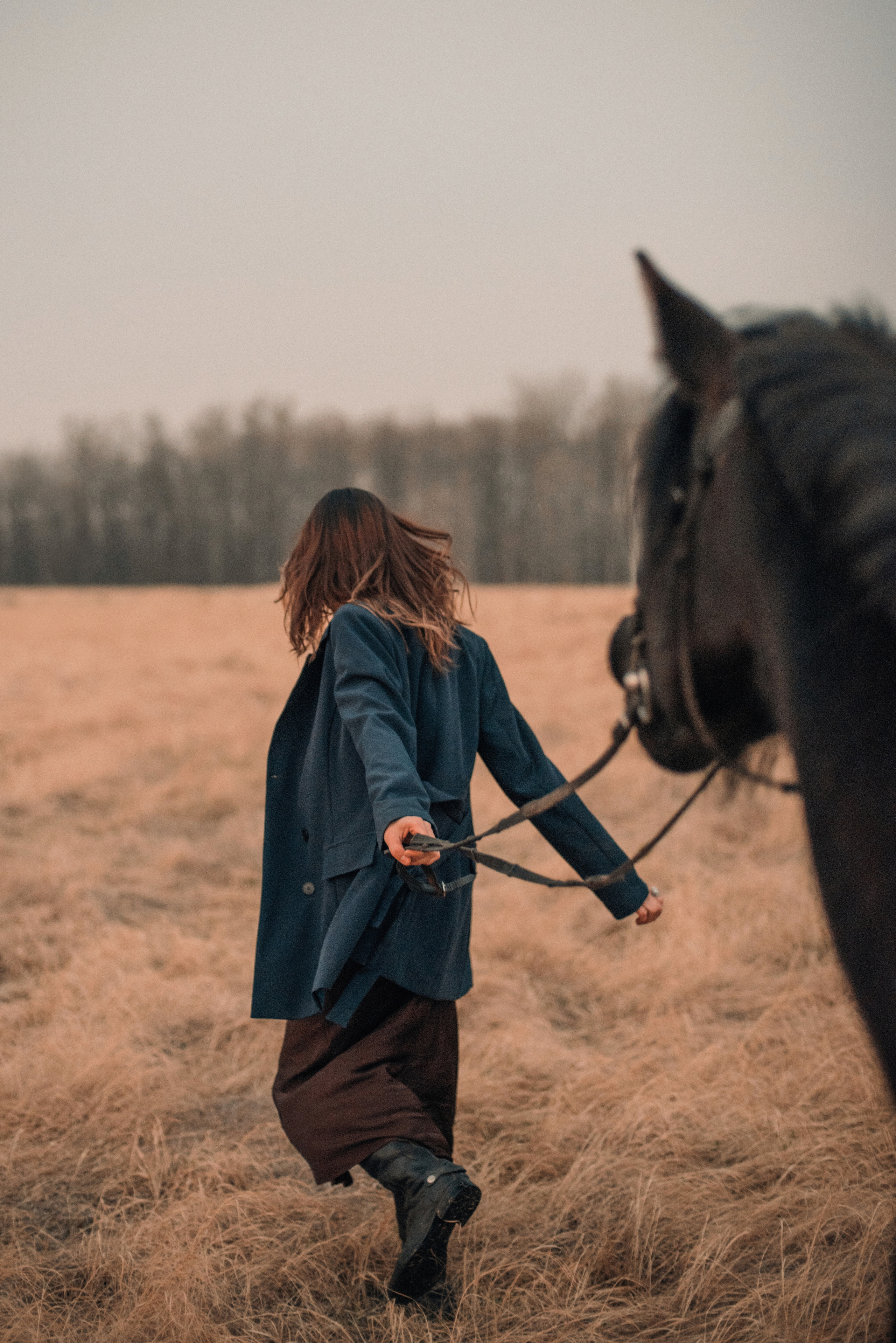 Конное: Ворон и Настя в поле. Портфолио