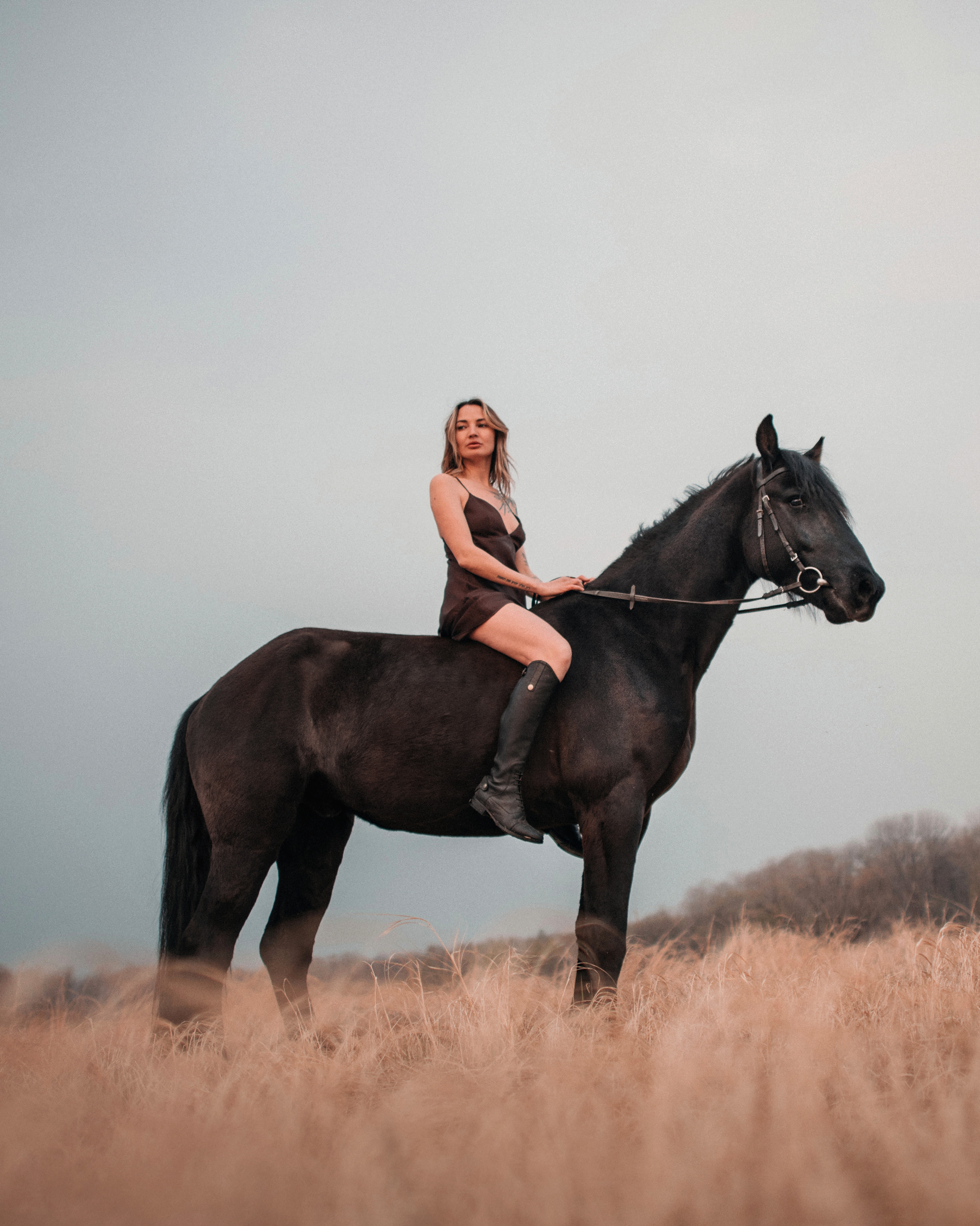 Конное: Ворон и Настя в поле. Портфолио