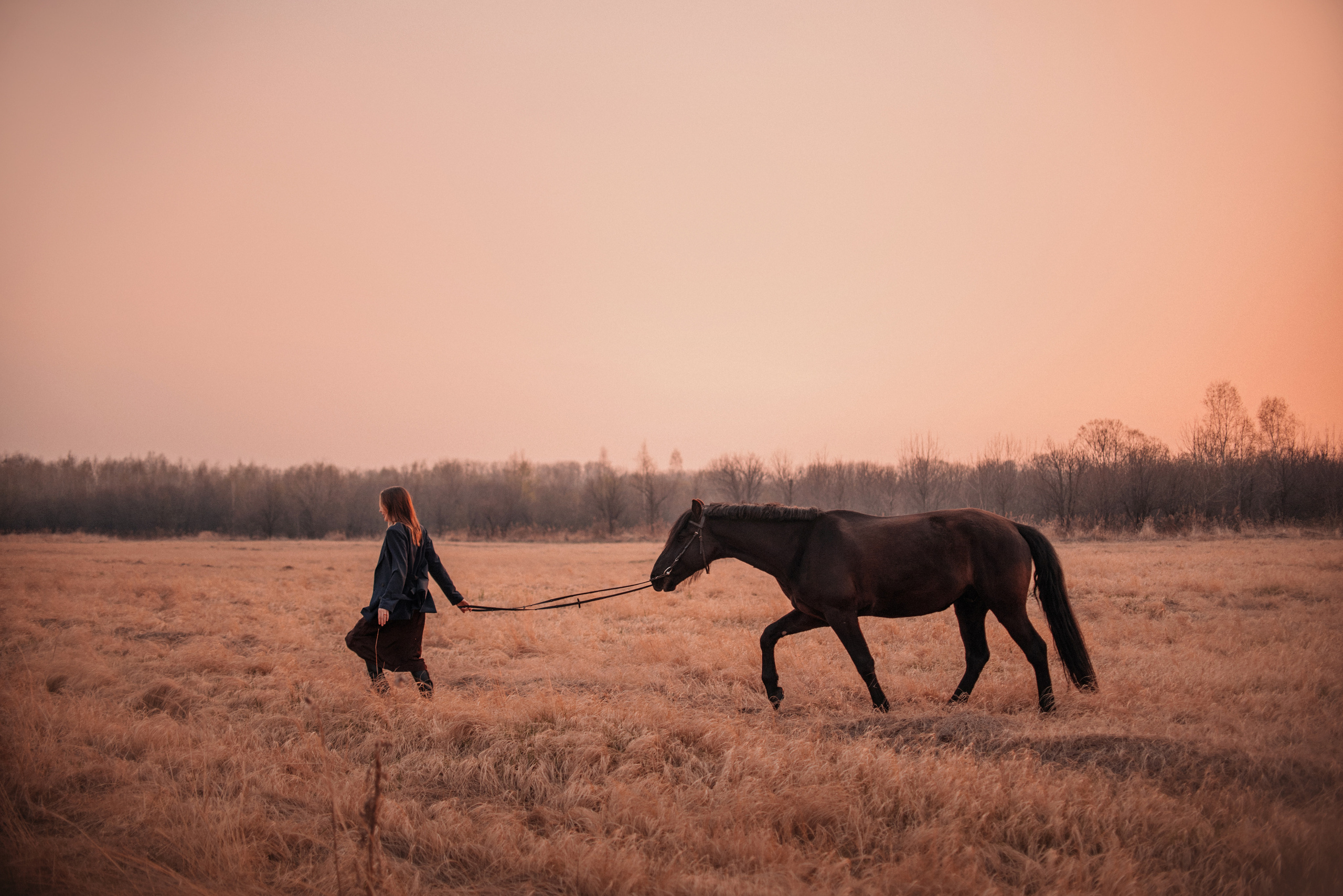Конное: Ворон и Настя в поле. Портфолио
