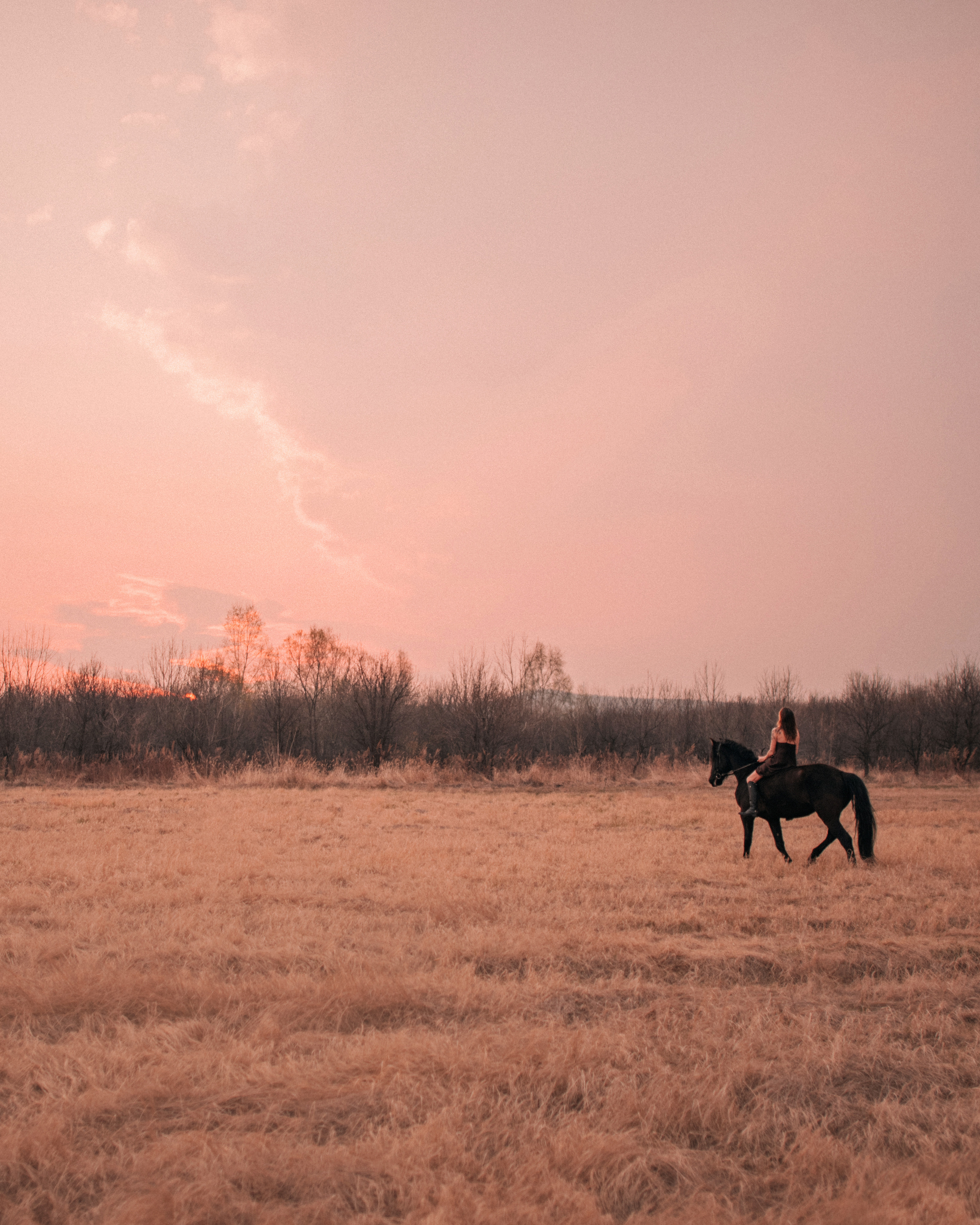 Конное: Ворон и Настя в поле. Портфолио