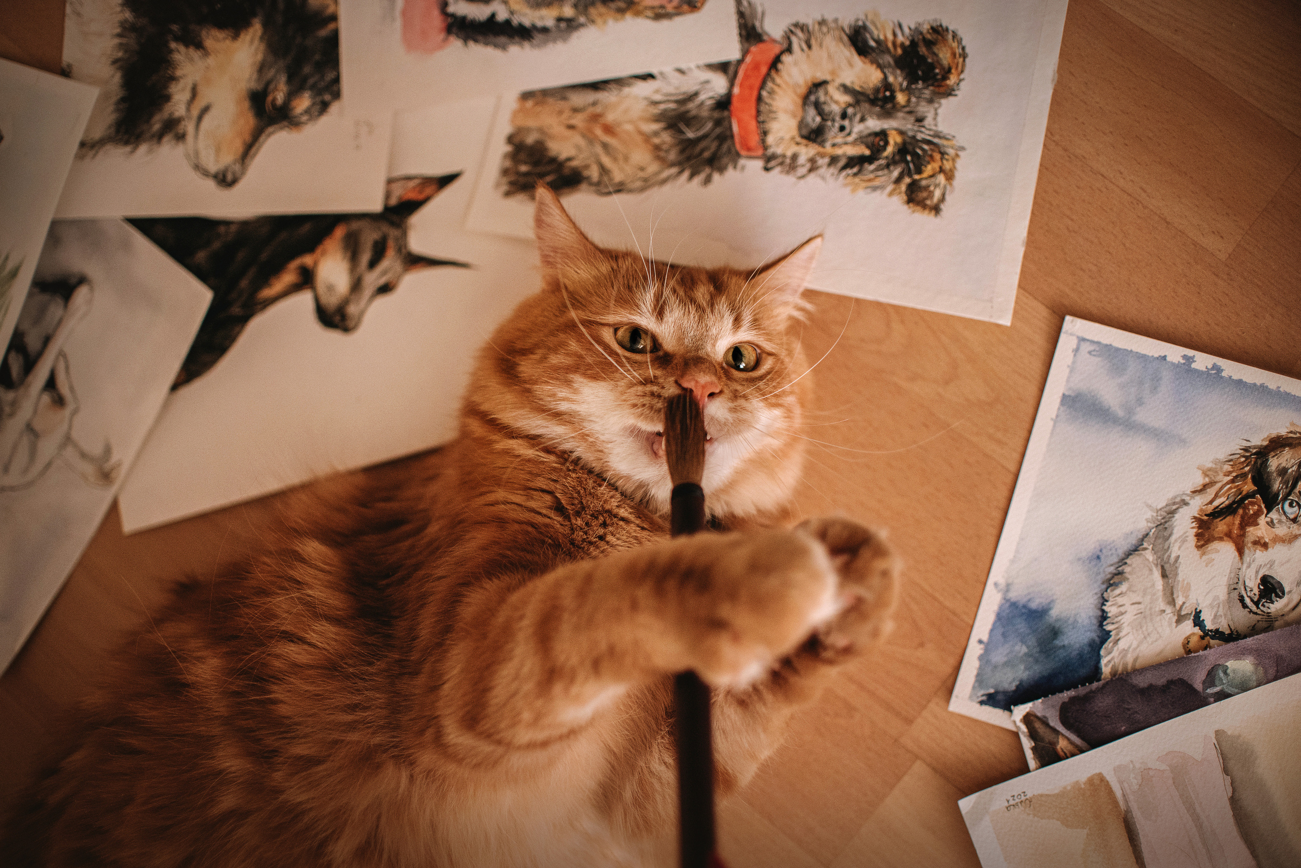 Домашнее: кот Баттерз и Юля. Портфолио