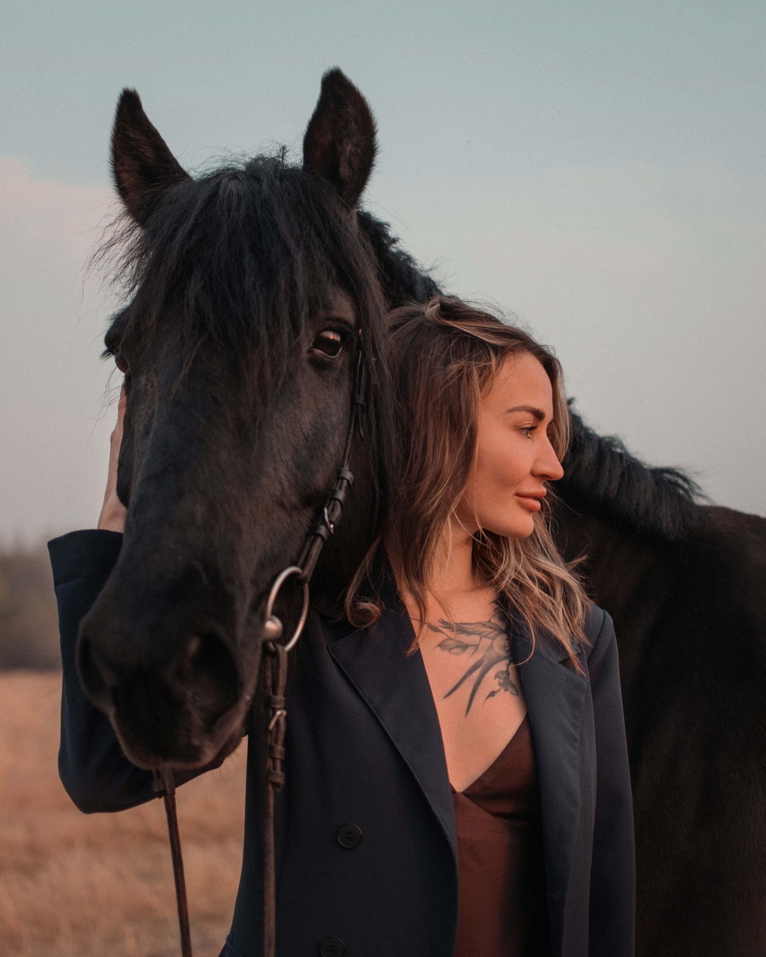 Конное: Ворон и Настя в поле. Портфолио