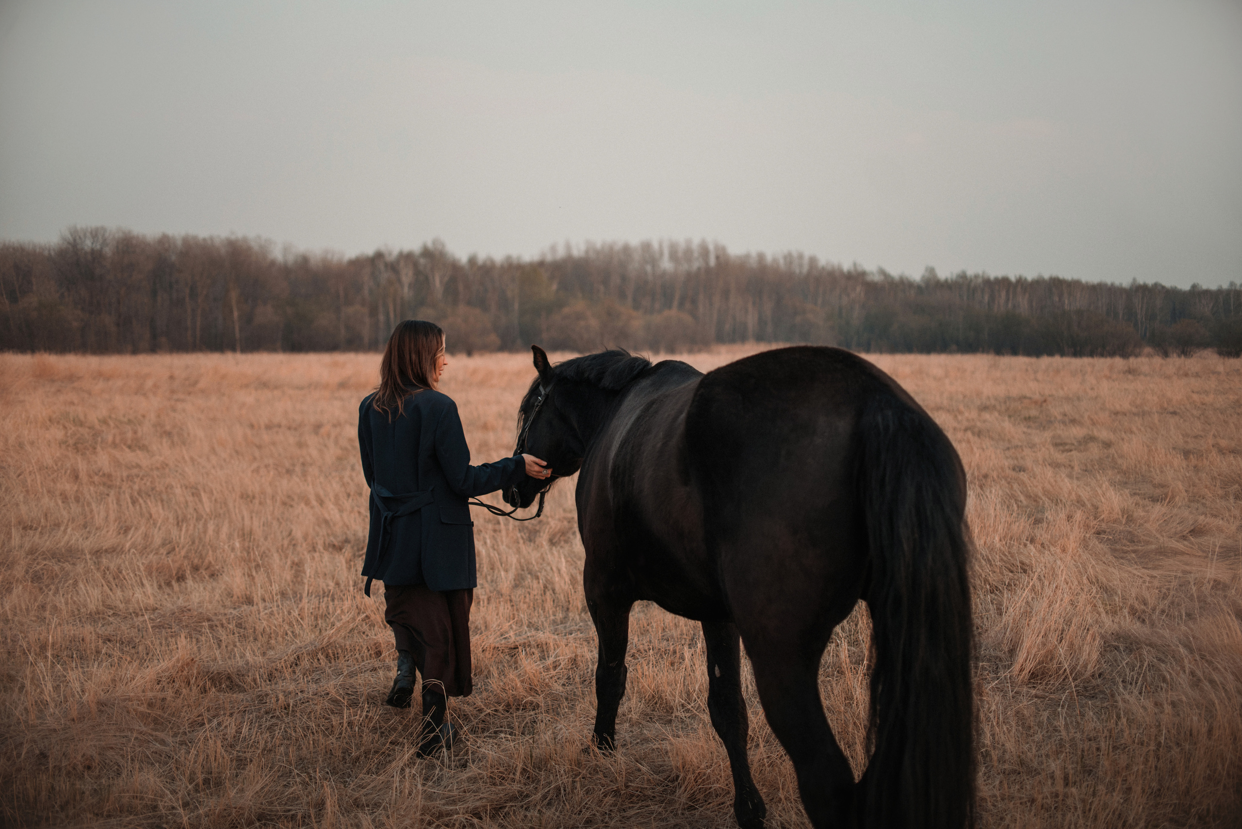 Конное: Ворон и Настя в поле. Портфолио