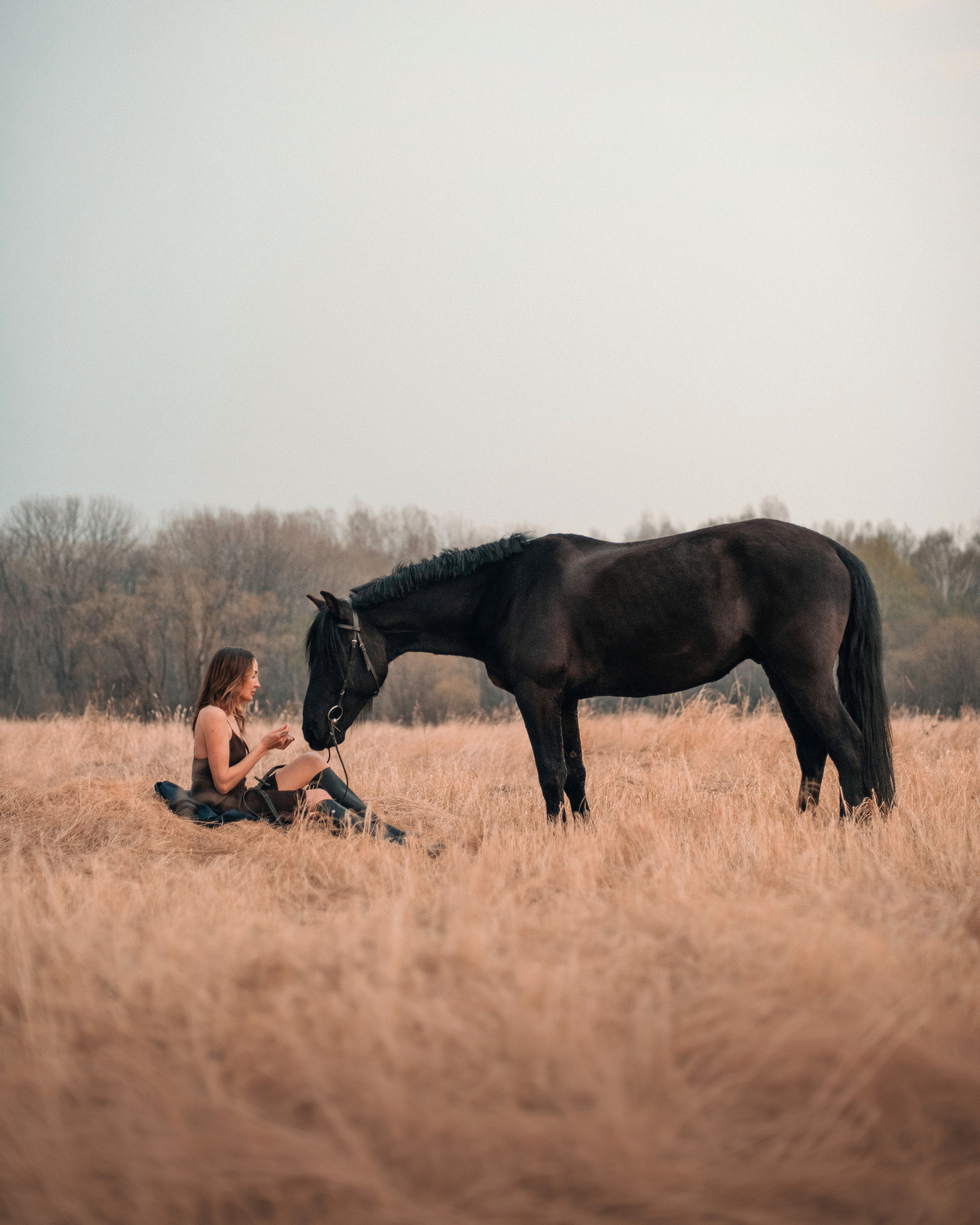 Конное: Ворон и Настя в поле. Портфолио