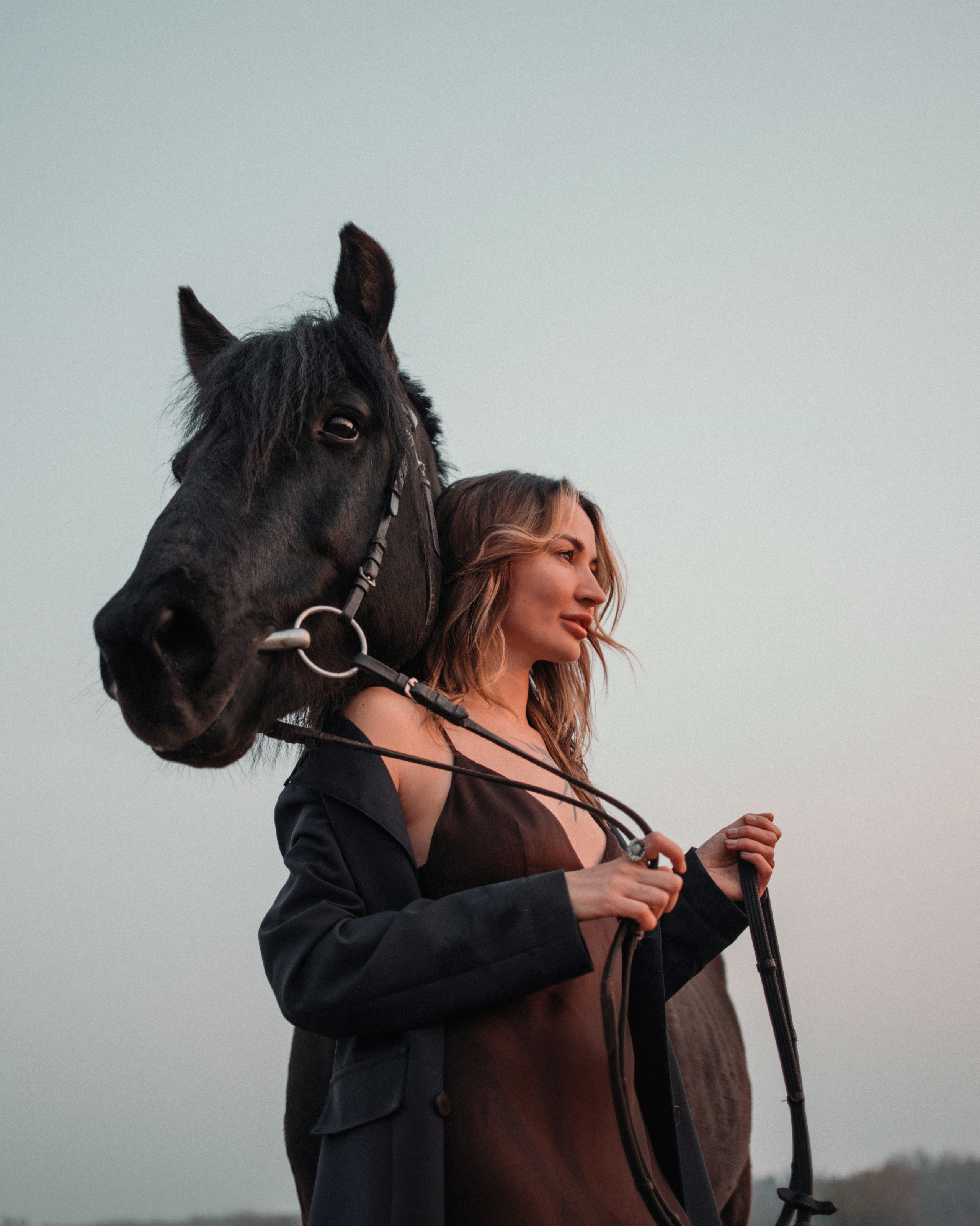 Конное: Ворон и Настя в поле. Портфолио