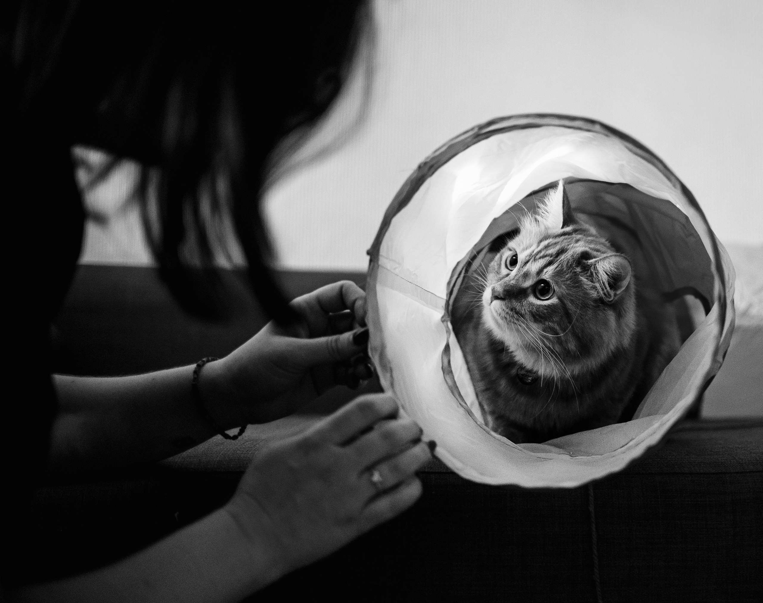 Домашнее: кот Баттерз и Юля. Портфолио