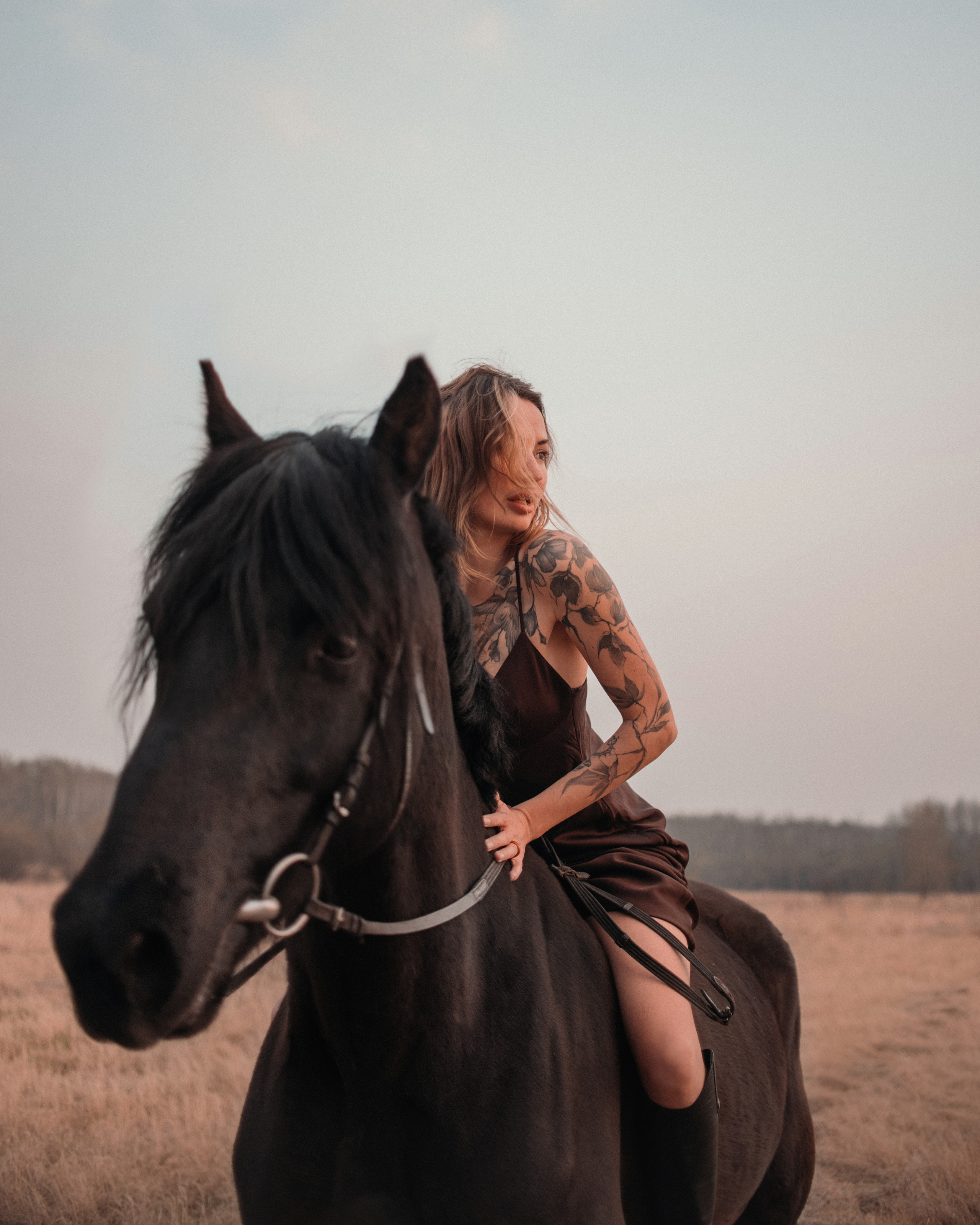 Конное: Ворон и Настя в поле. Портфолио