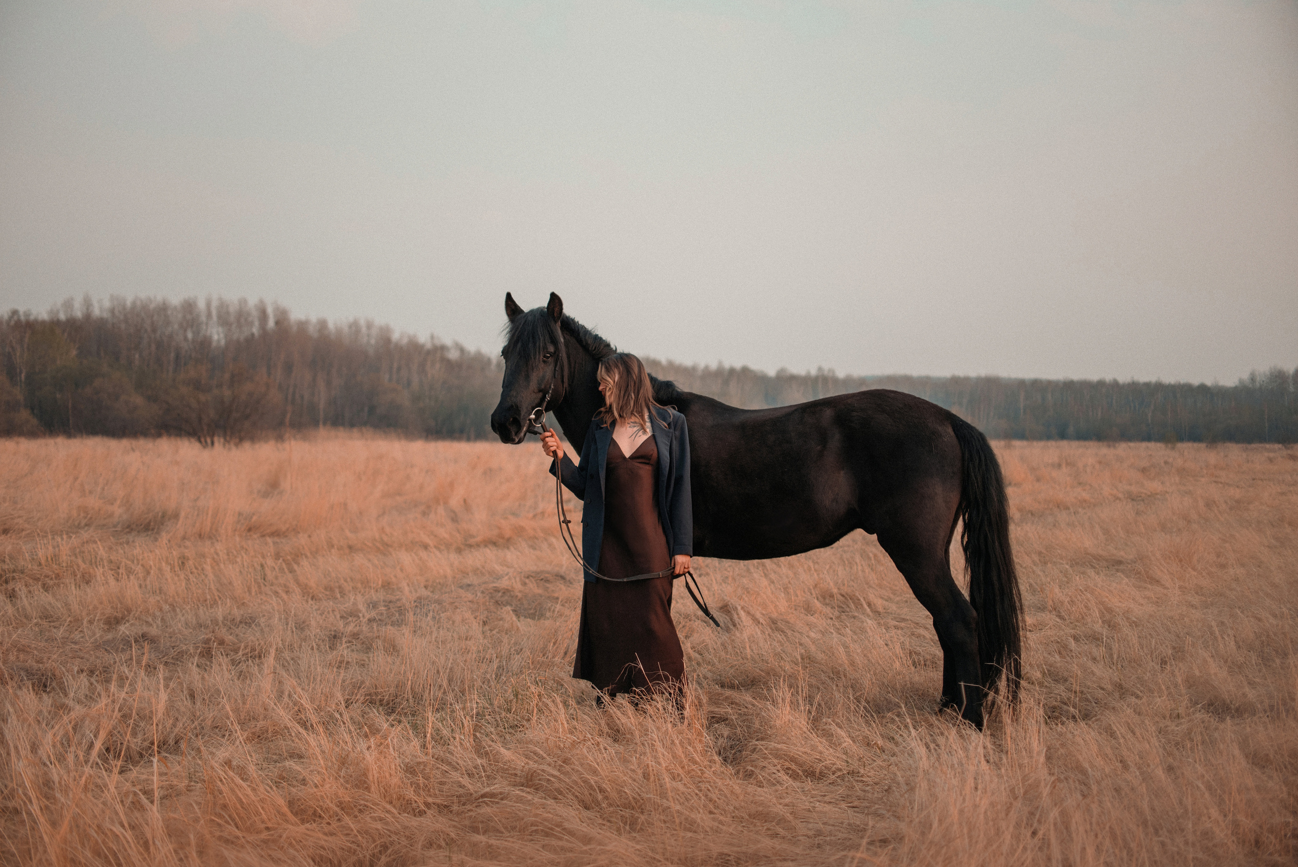 Конное: Ворон и Настя в поле. Портфолио