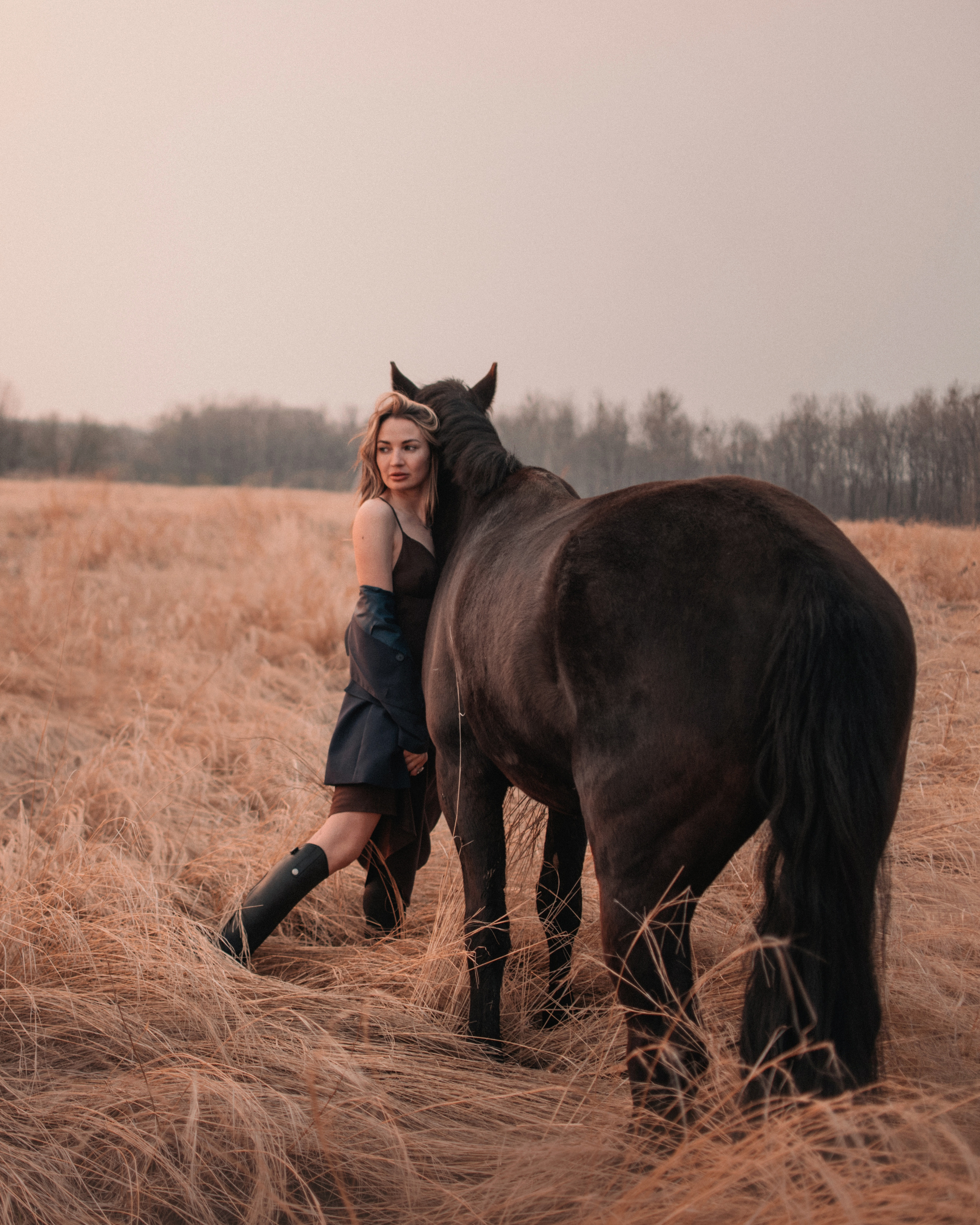 Конное: Ворон и Настя в поле. Портфолио