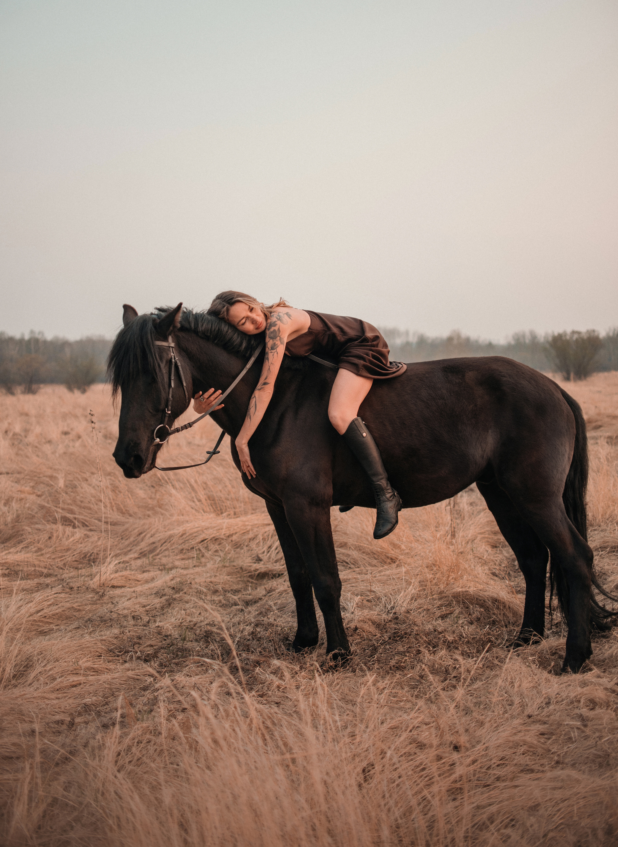 Конное: Ворон и Настя в поле. Портфолио