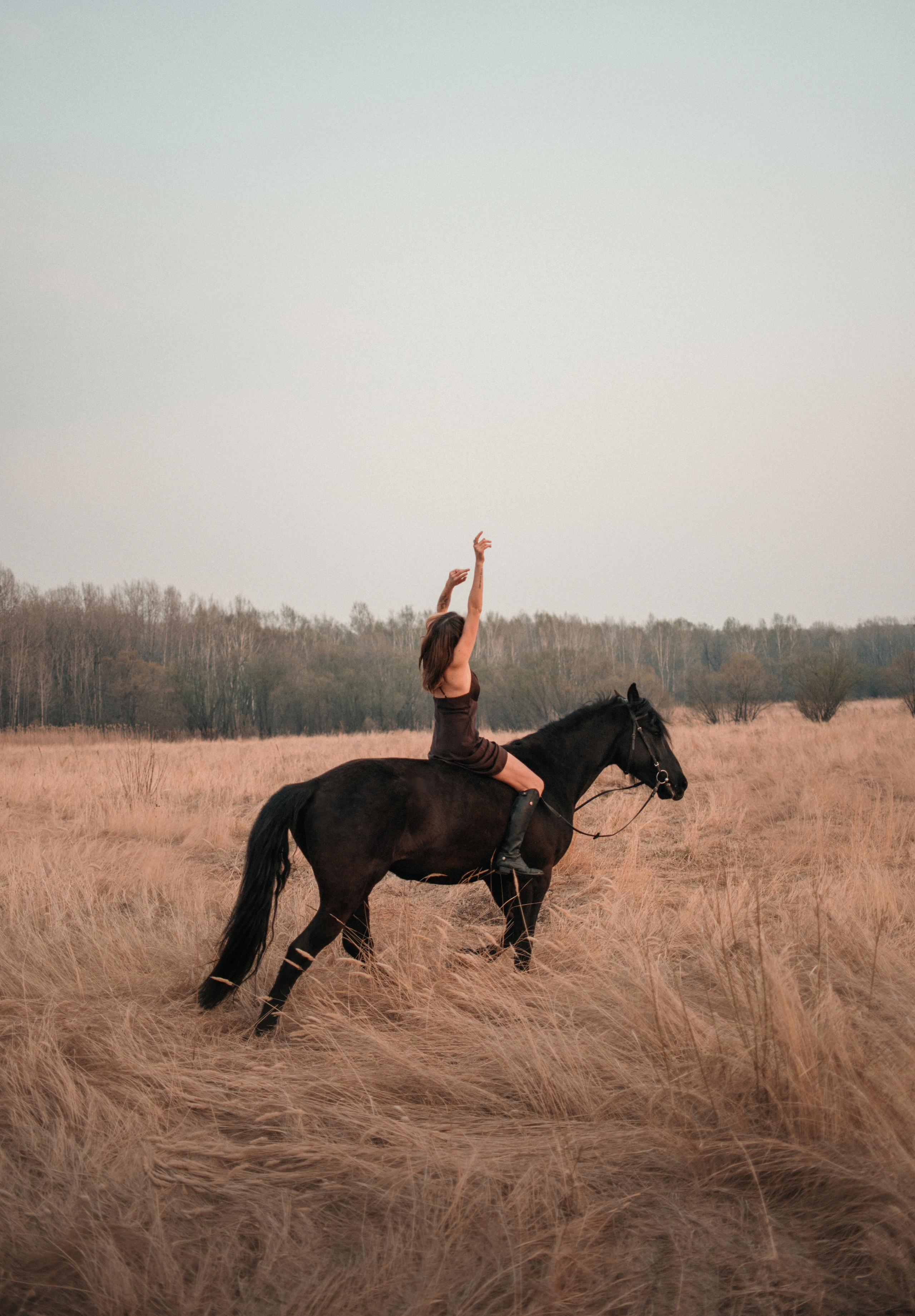 Конное: Ворон и Настя в поле. Портфолио