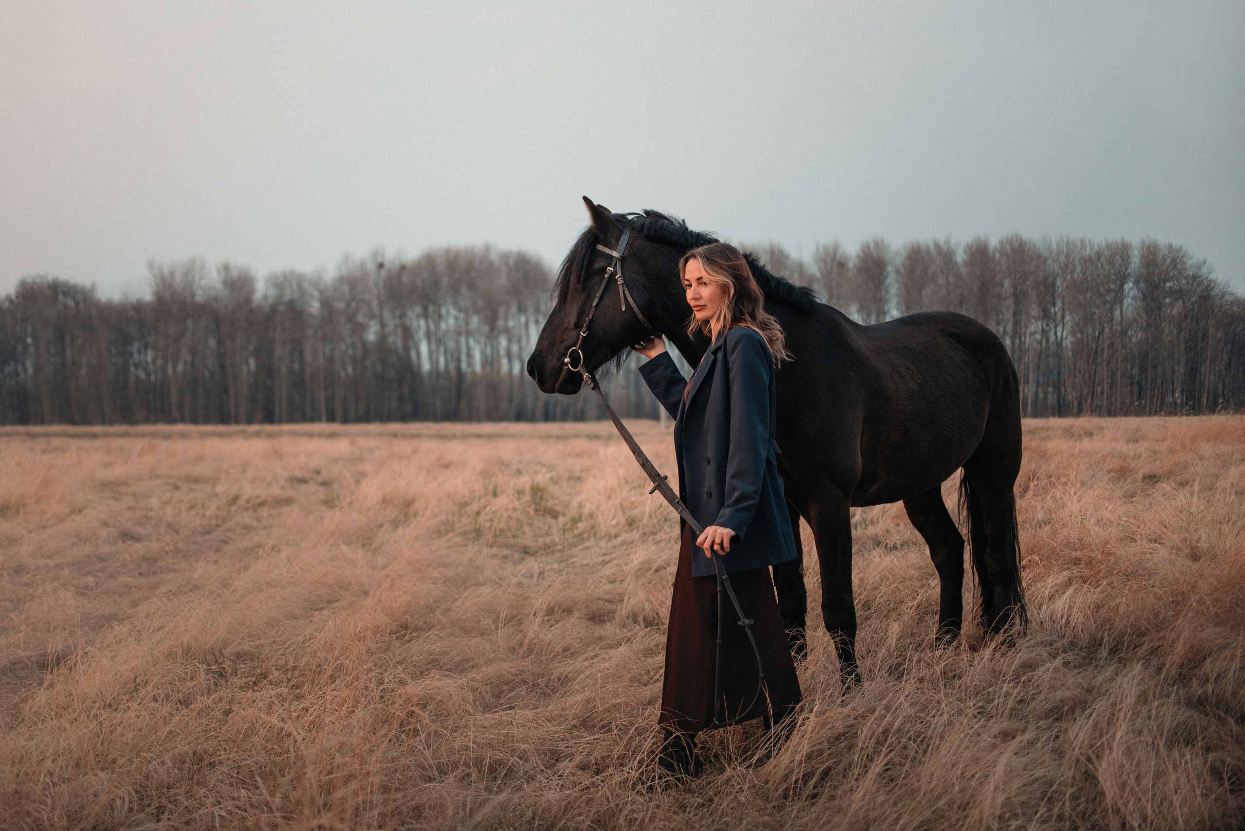 Конное: Ворон и Настя в поле. Портфолио