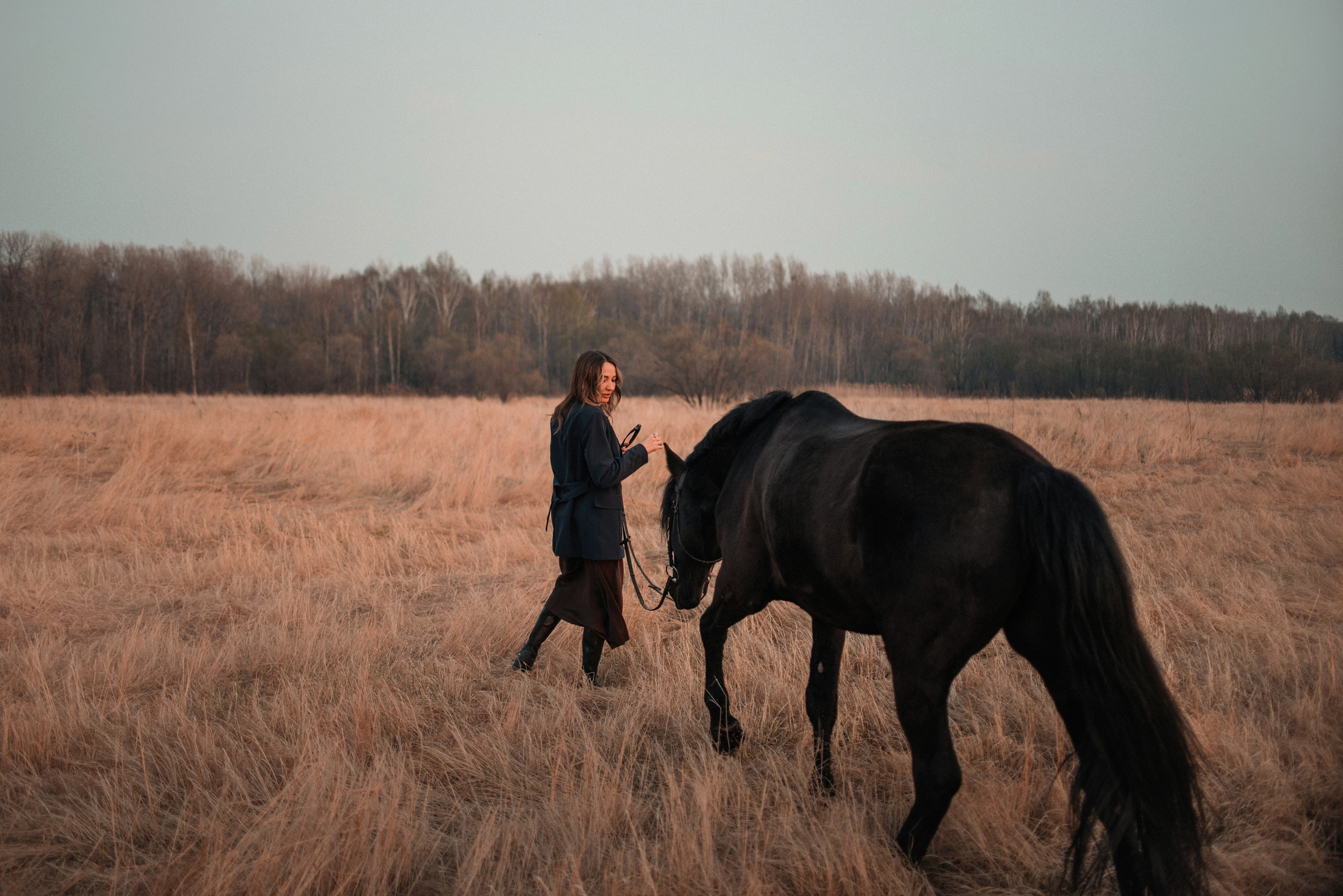 Конное: Ворон и Настя в поле. Портфолио