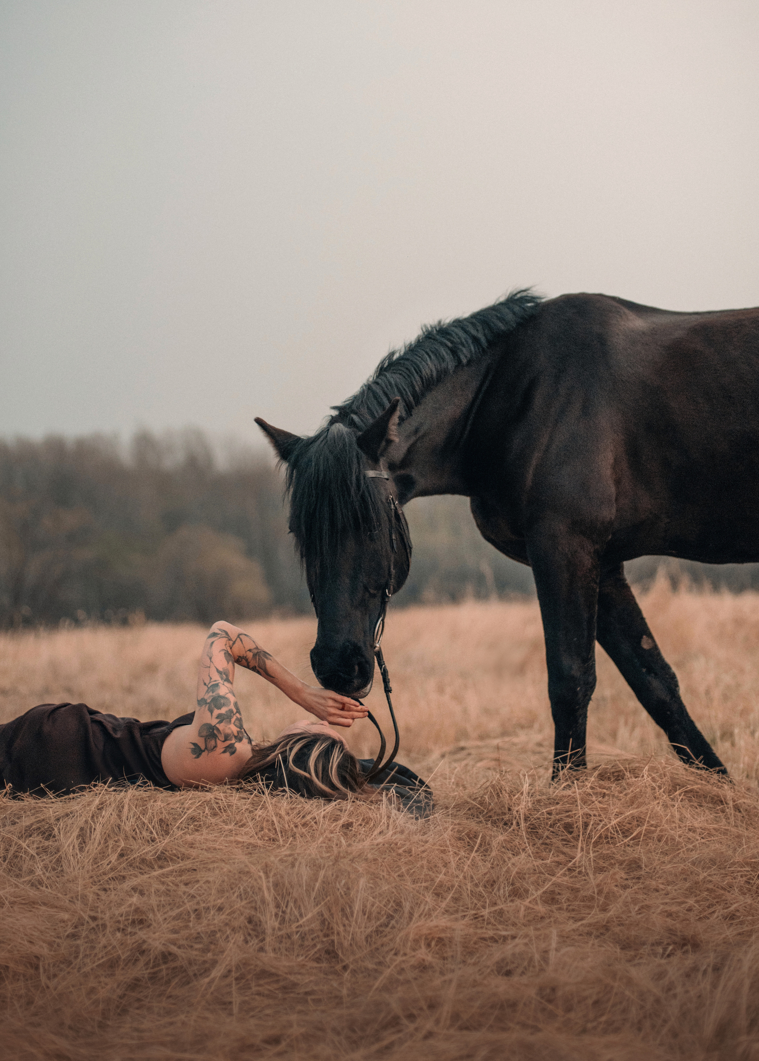 Конное: Ворон и Настя в поле. Портфолио