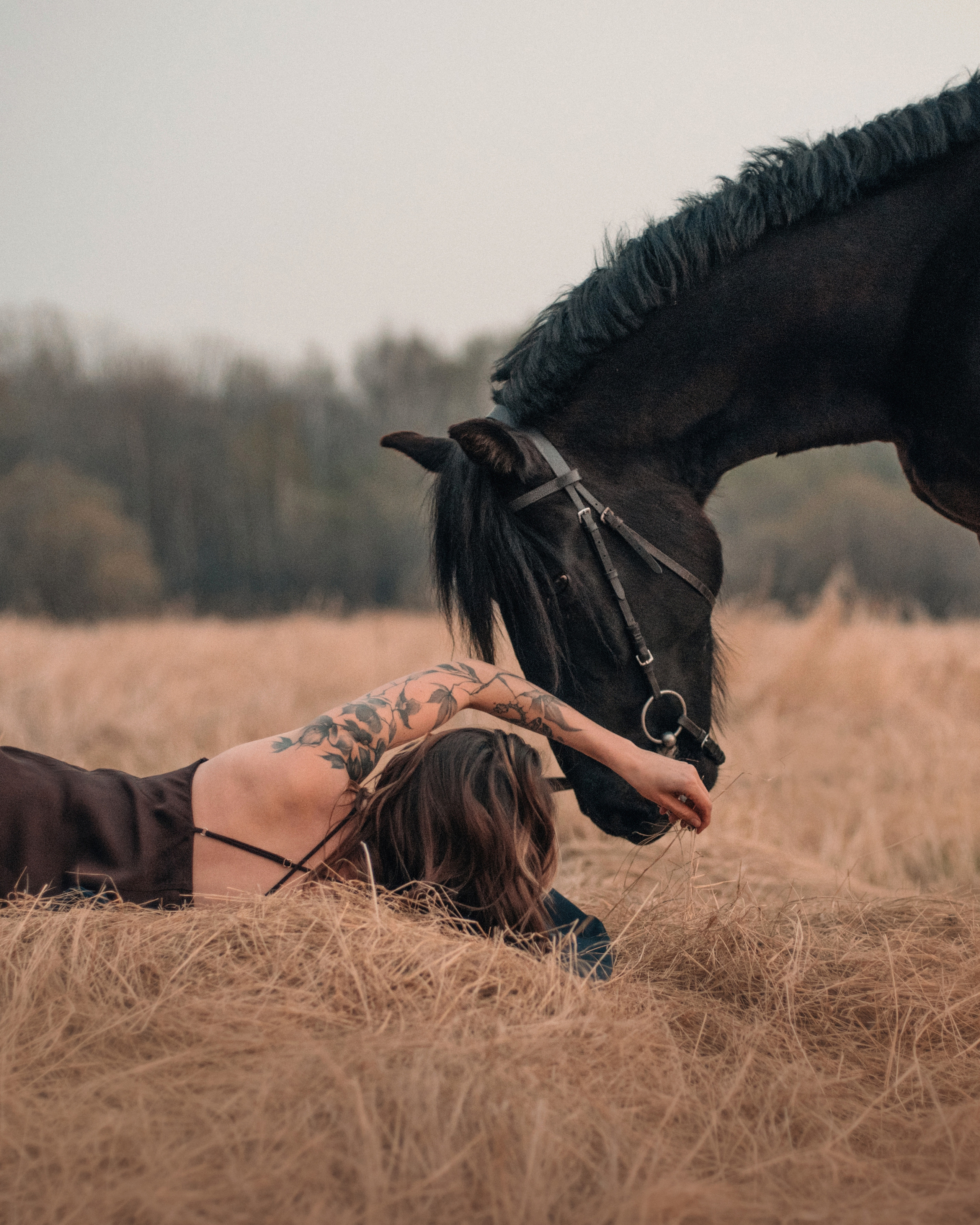 Конное: Ворон и Настя в поле. Портфолио