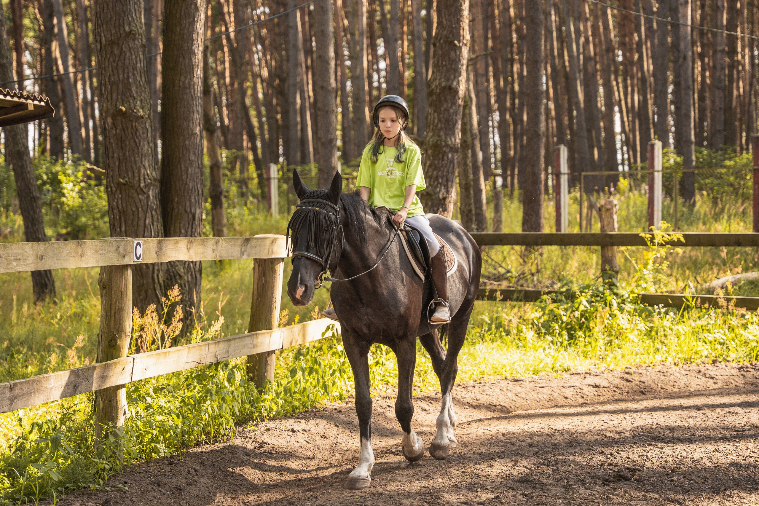 Конное занятие. Главная