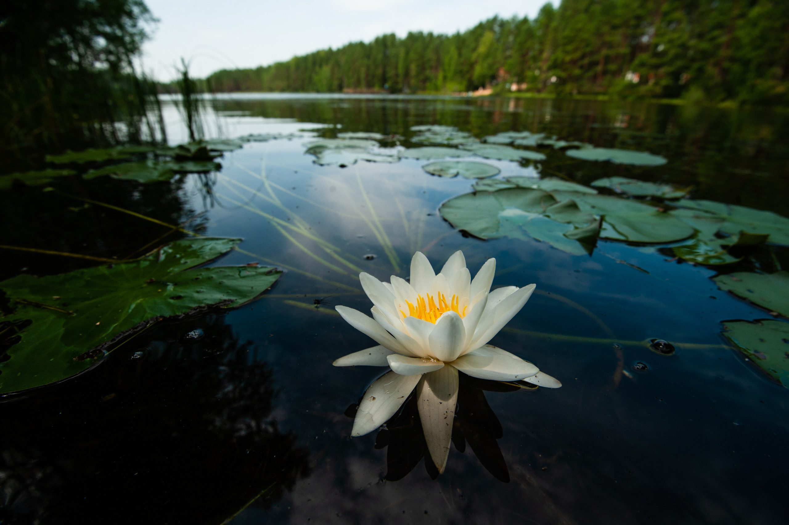 Пейзаж. Документальный фотограф Сергей Вдовин