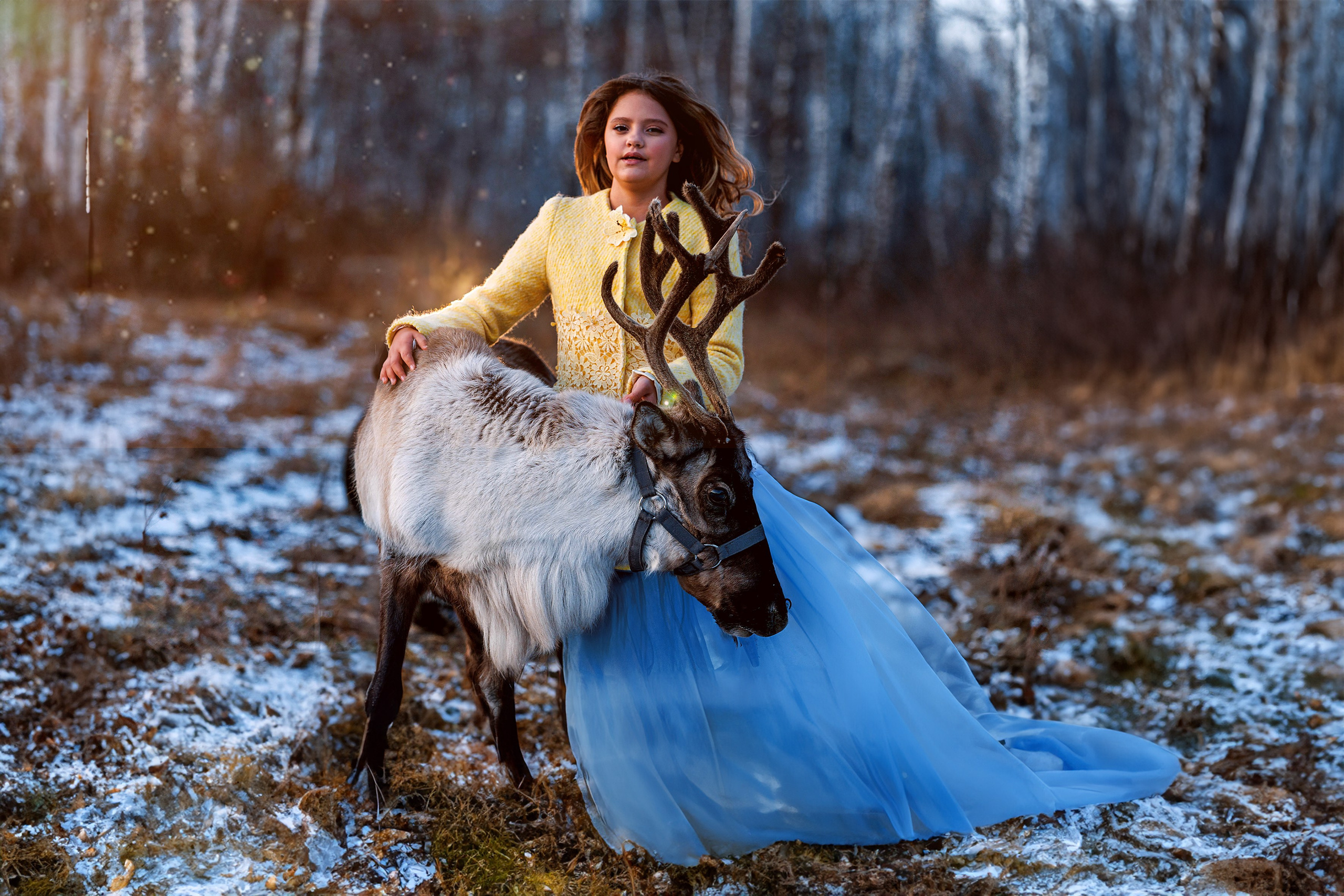 Олениха Нося 2024. Конный фотограф в Красноярске — Любовь Похабова