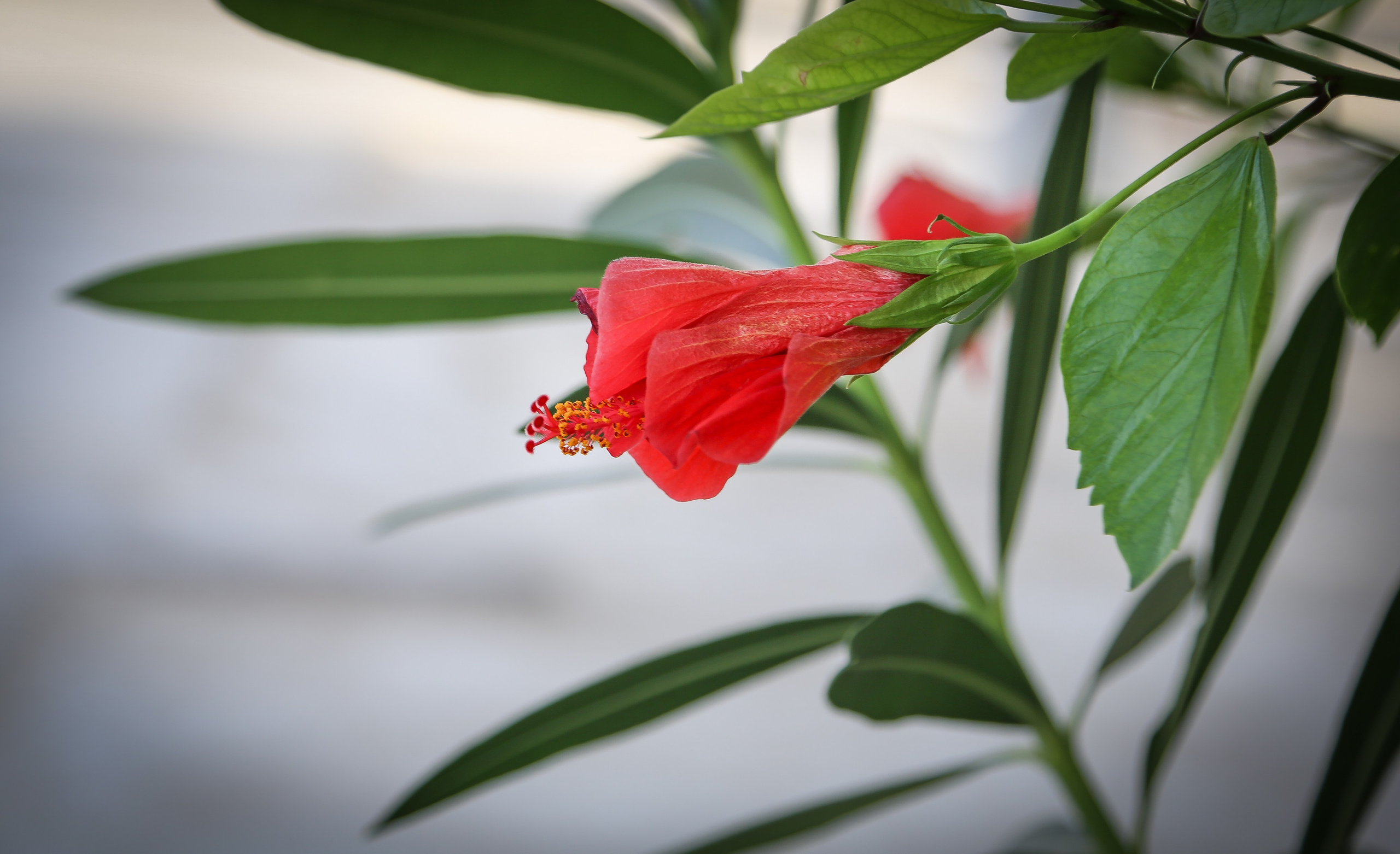 Испания: Мурсия и Арчена — взгляд с дистанции. Дарья Письменюк / Darya Leitstern — фотограф, музыкант, журналист, путешественник