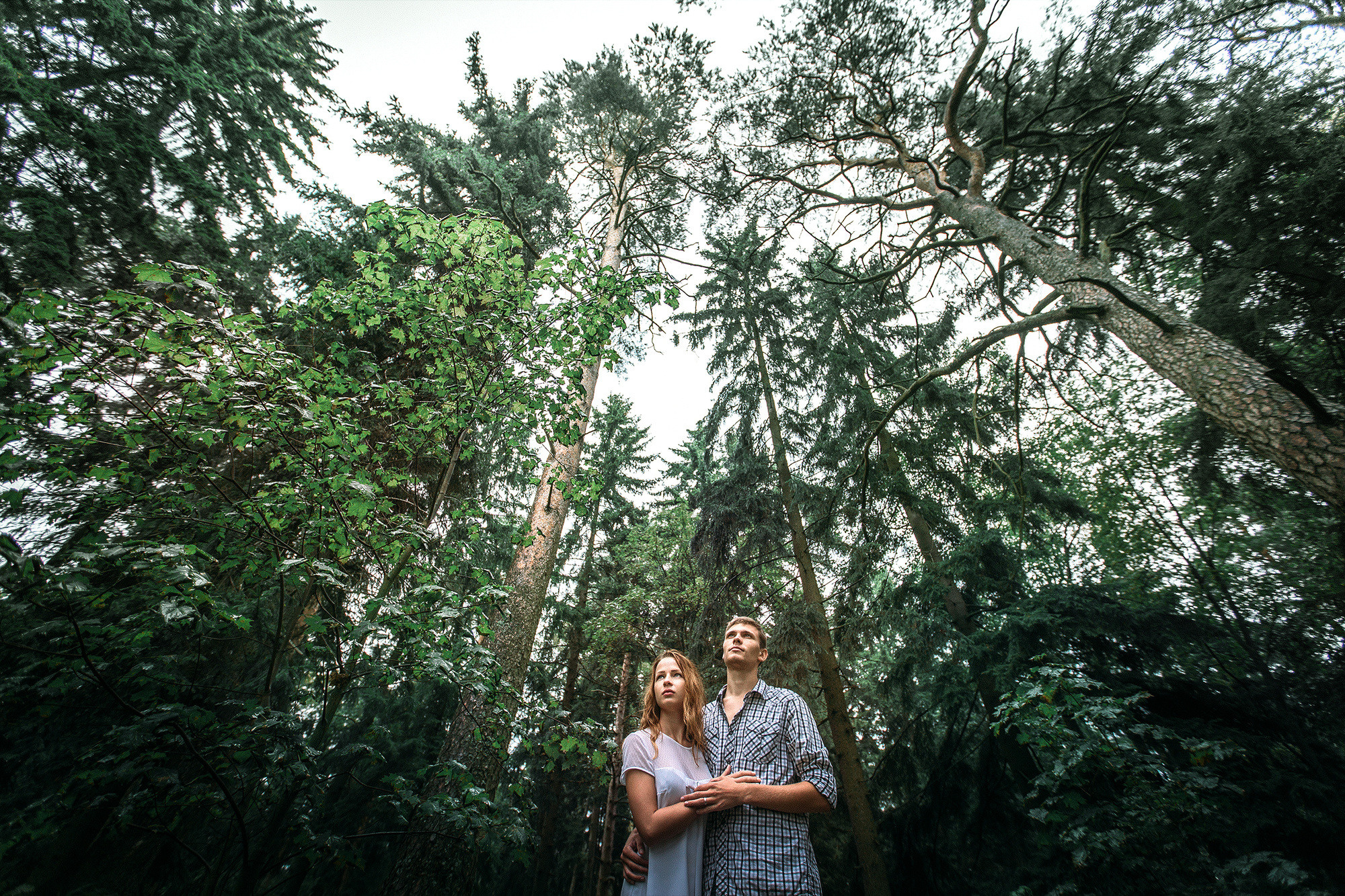 Лавстори на природе - удивительные кадры под дождём