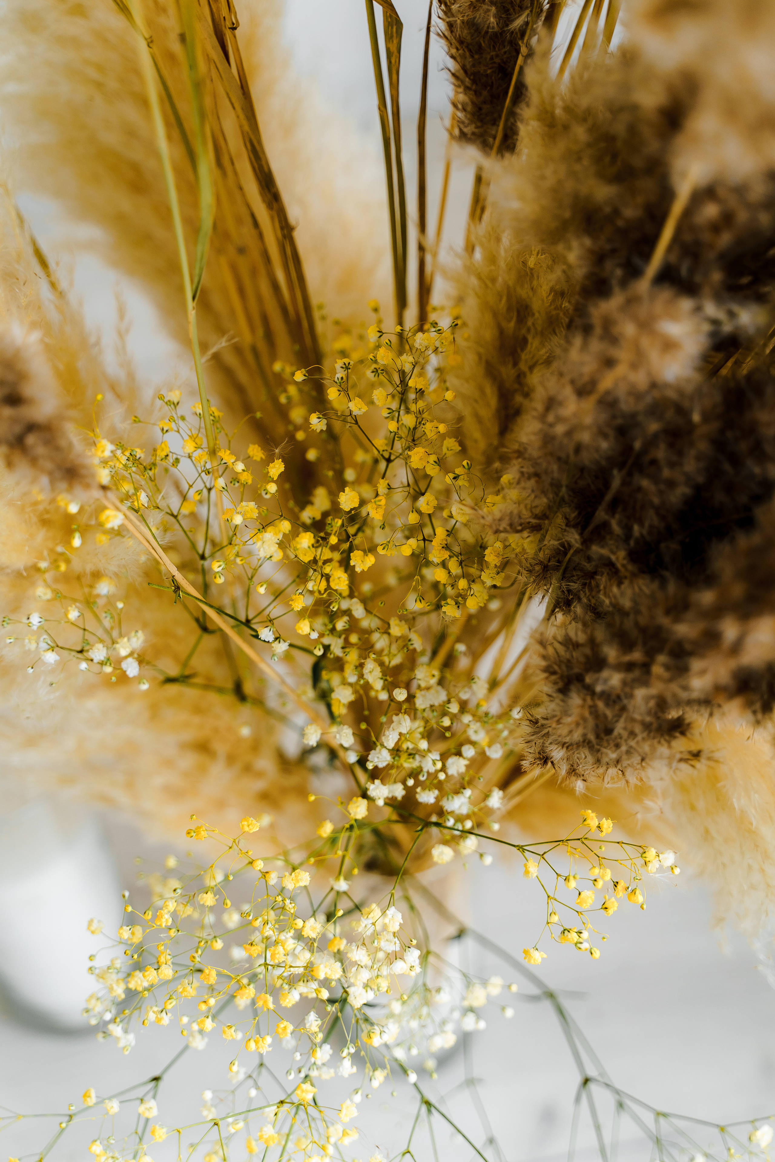 Свадебная фотосъемка, свадьба, свадебный фотограф, фотограф видеограф