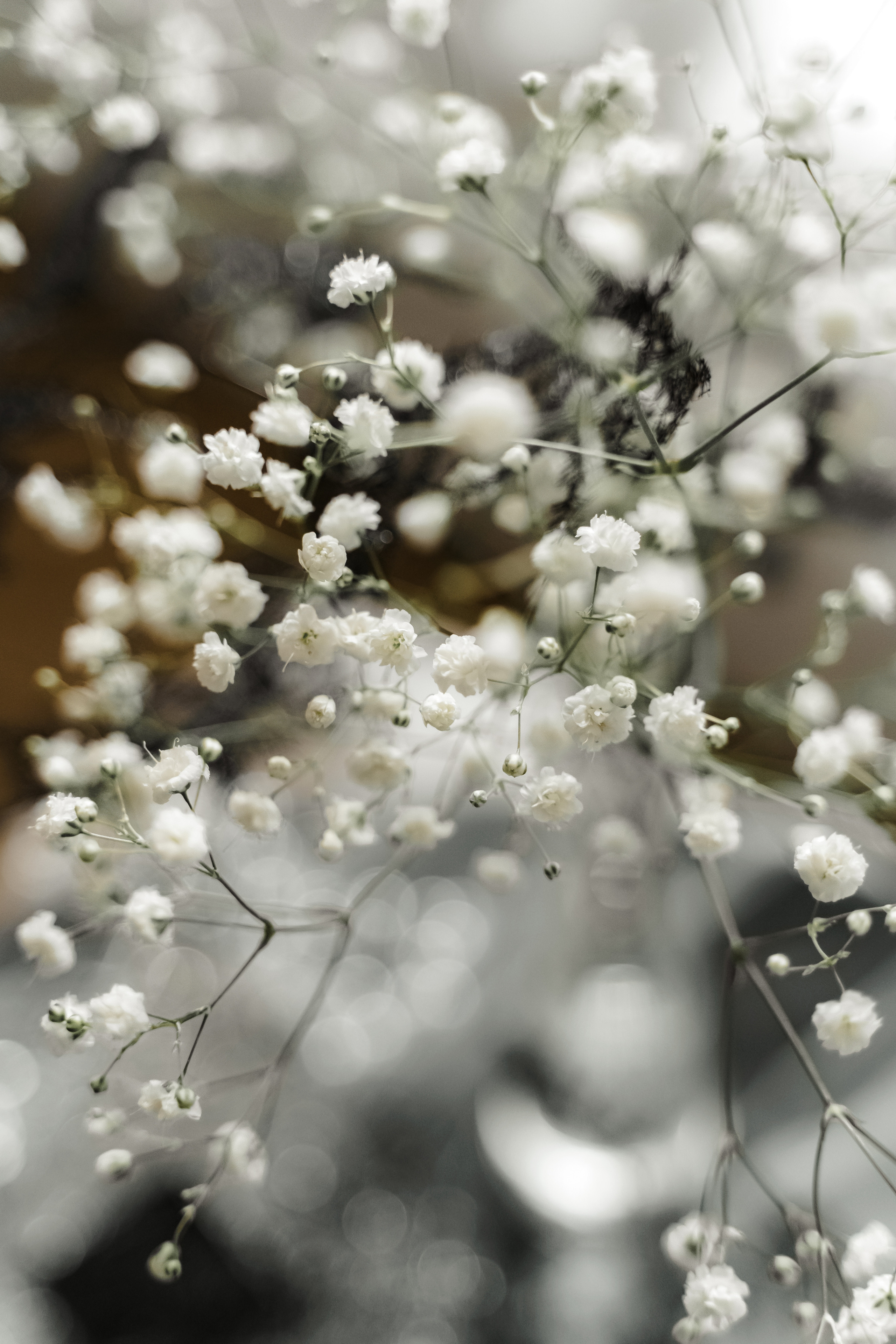 Свадебная фотосъемка, свадьба, свадебный фотограф, фотограф видеограф